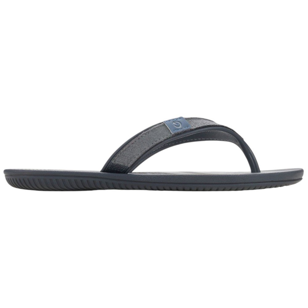 Chinelo Cartago Dakar Adulto Grendene 10738 Cinza 4