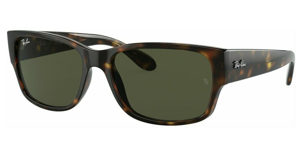 ÓCULOS DE SOL RAYBAN 4388 710/31 Marrom 1