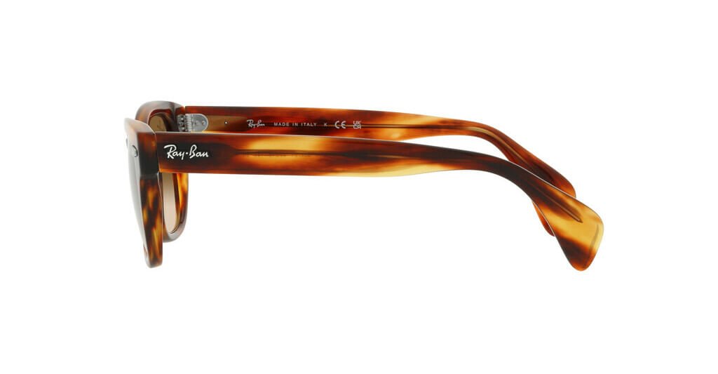 ÓCULOS DE SOL RAY-BAN 0880S 954/51 Marrom 2