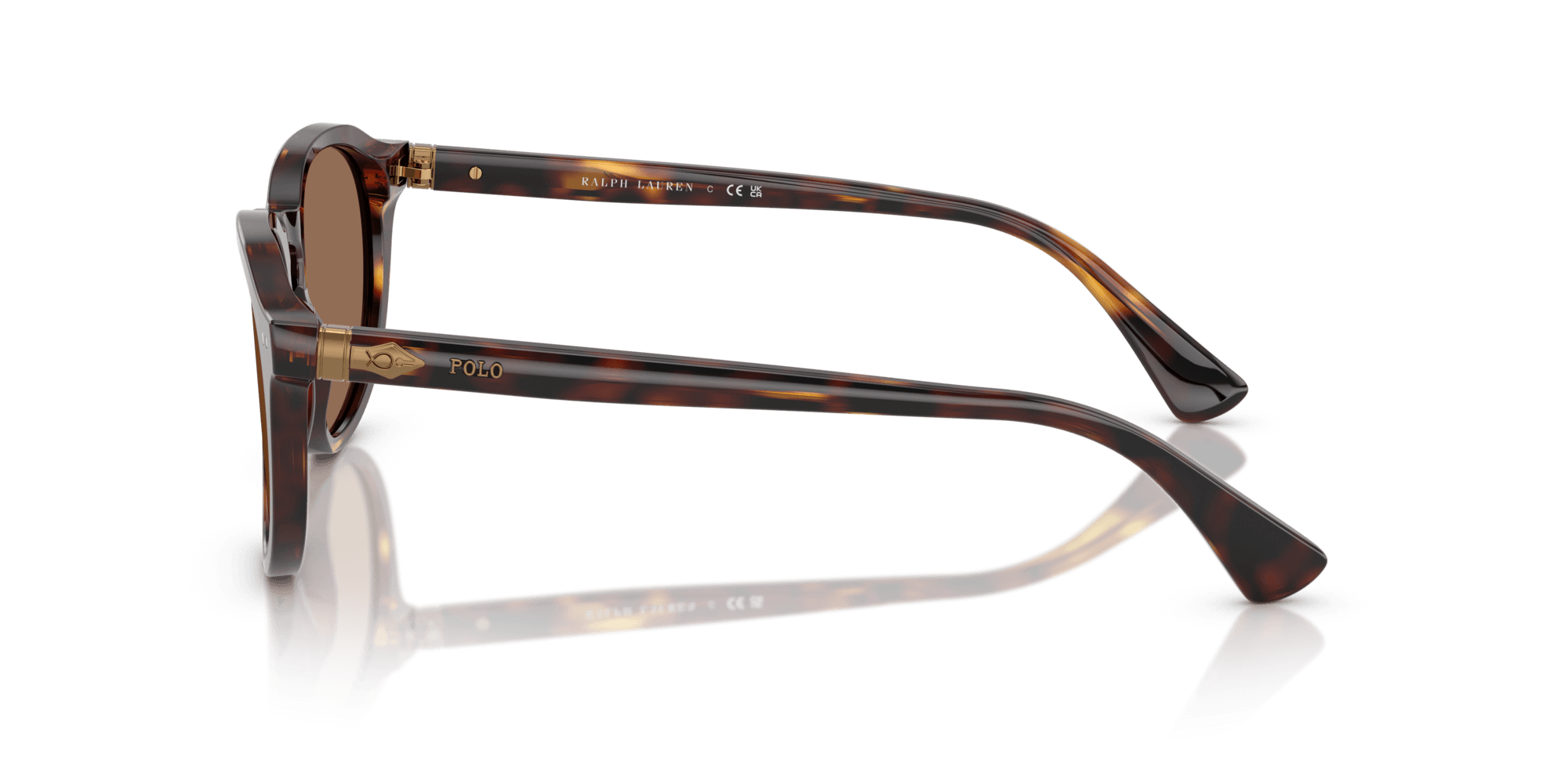 Óculos de Sol Polo Ralph Lauren 4221 613773 Marrom 3