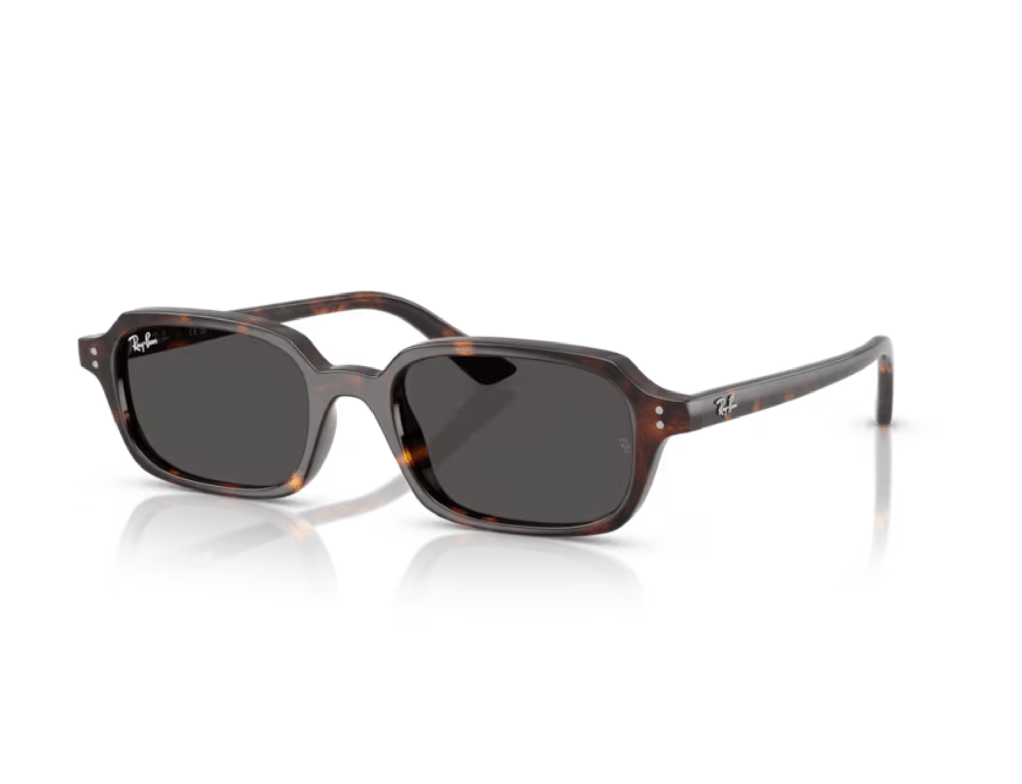 ÓCULOS DE SOL RAY-BAN ZURI 4455/POLAR 667781 Preto
