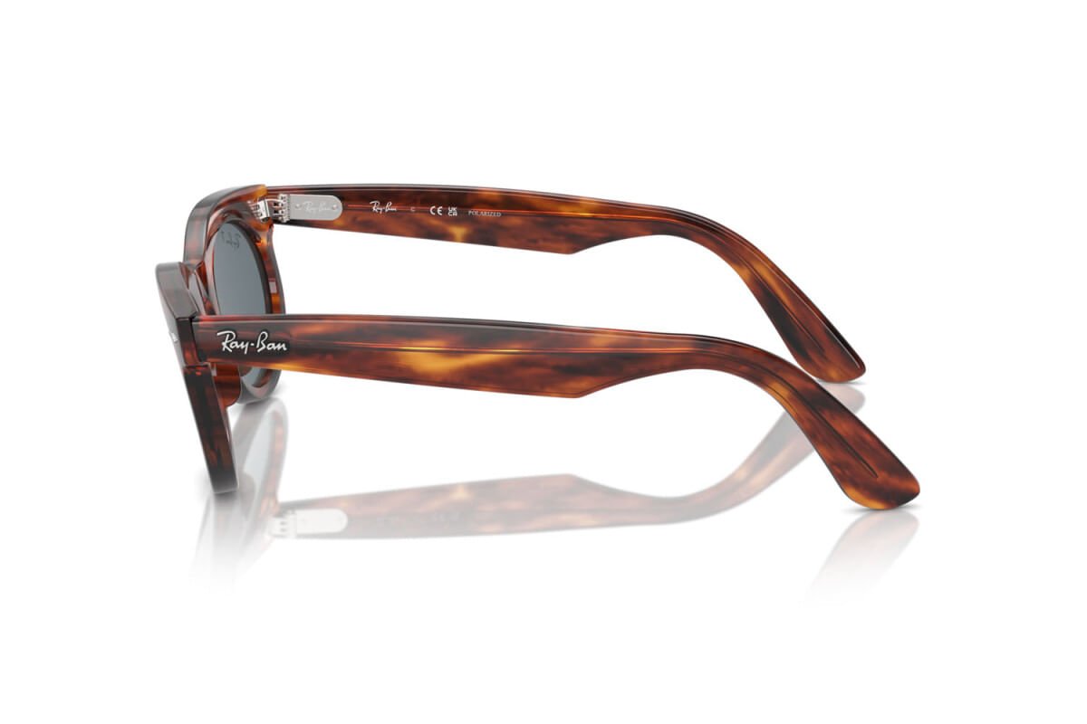 ÓCULOS DE SOL RAY-BAN 2242/POLAR 954/3R Marrom 3