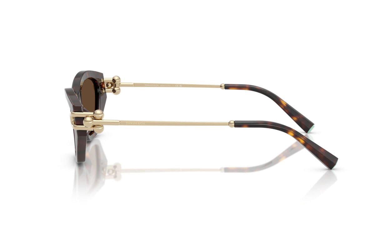 ÓCULOS DE SOL TIFFANY 4231U 80153G Marrom/Dourado 3