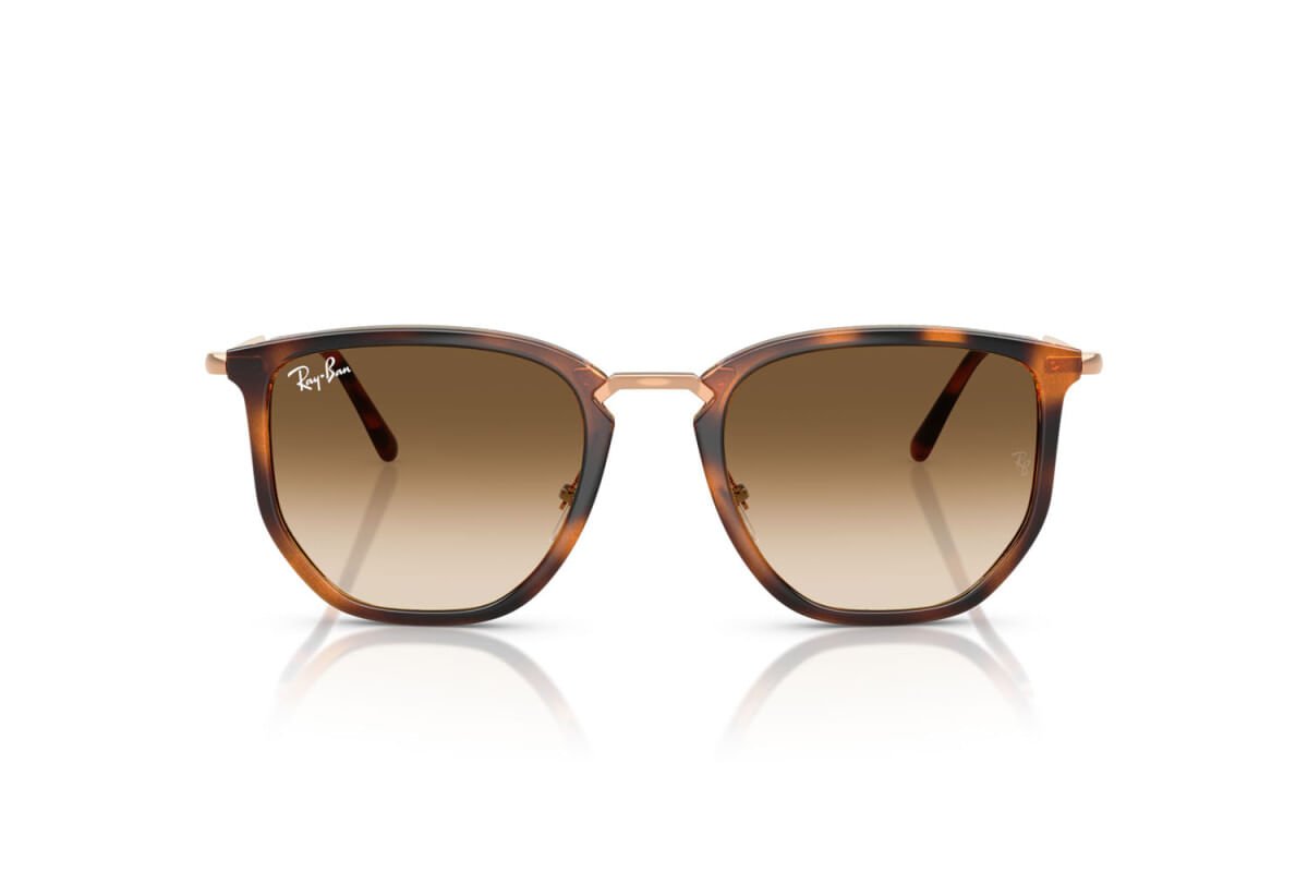 Óculos de Sol Ray-Ban 4451 680451 Marrom 2