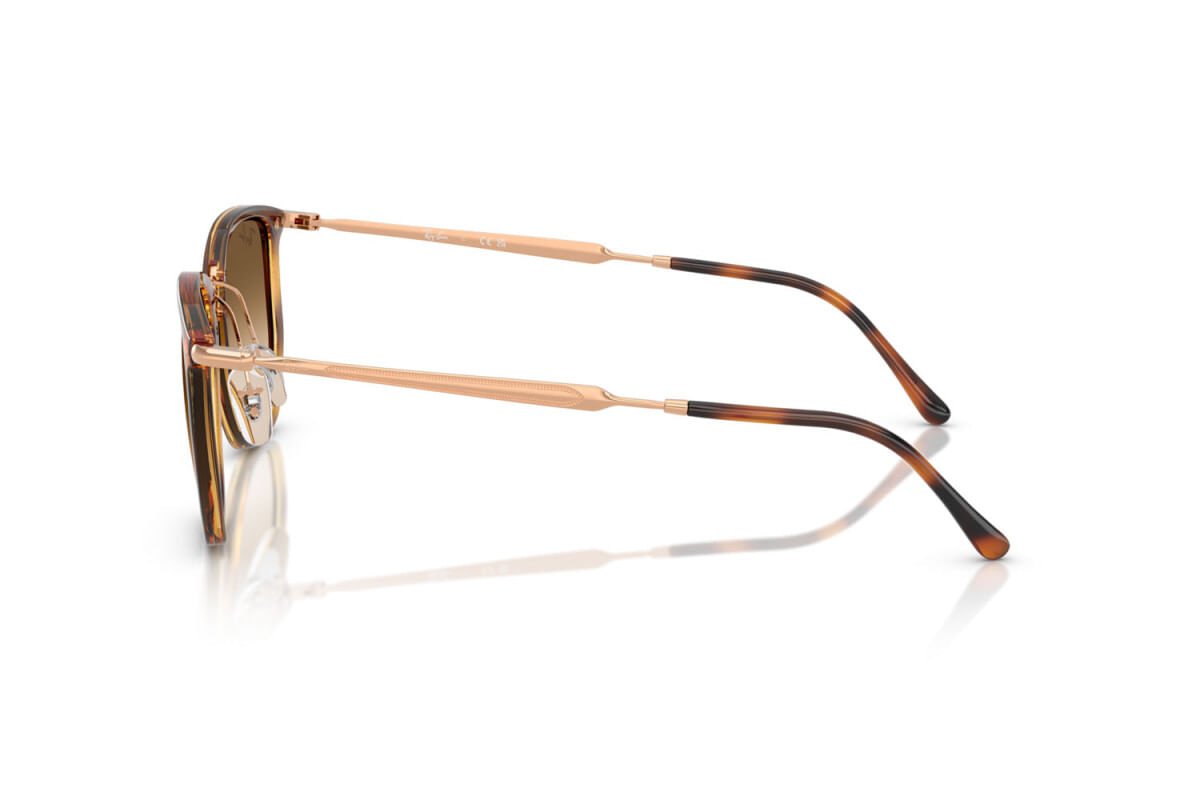 Óculos de Sol Ray-Ban 4451 680451 Marrom 3