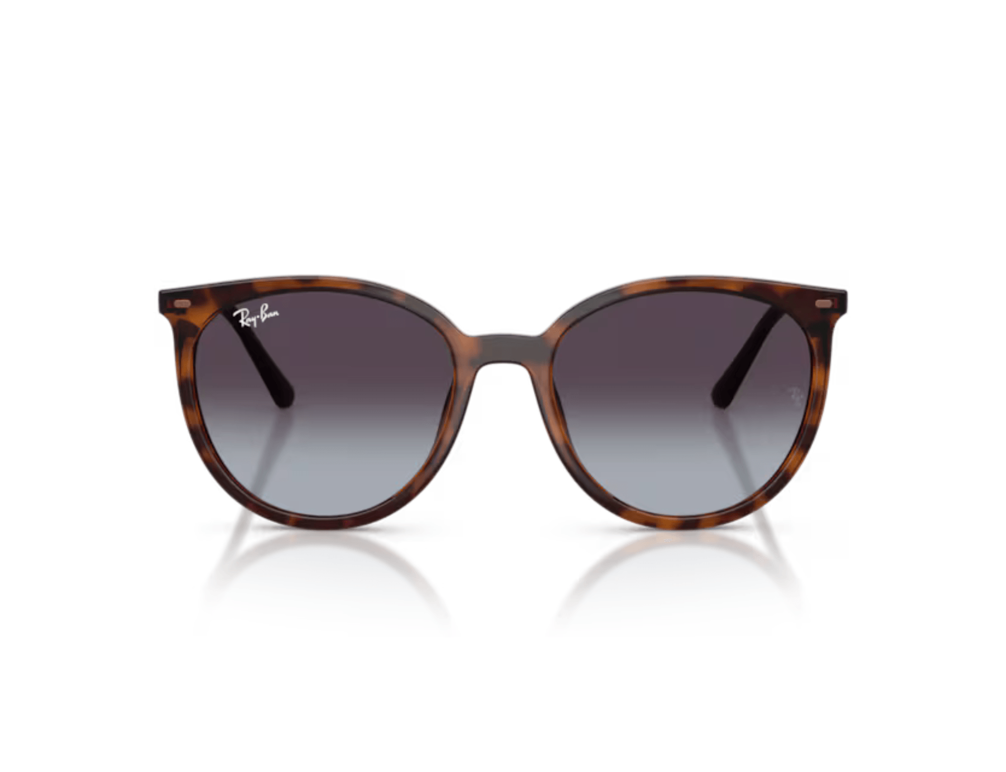 Óculos de Sol Ray-Ban 4464L 63118G Marrom 2