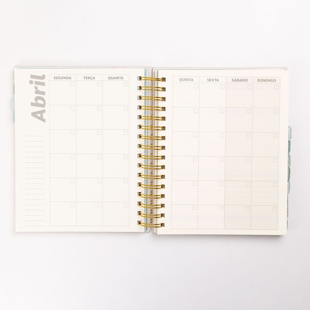 Planner Esse é O Meu Ano ÚNICO 4