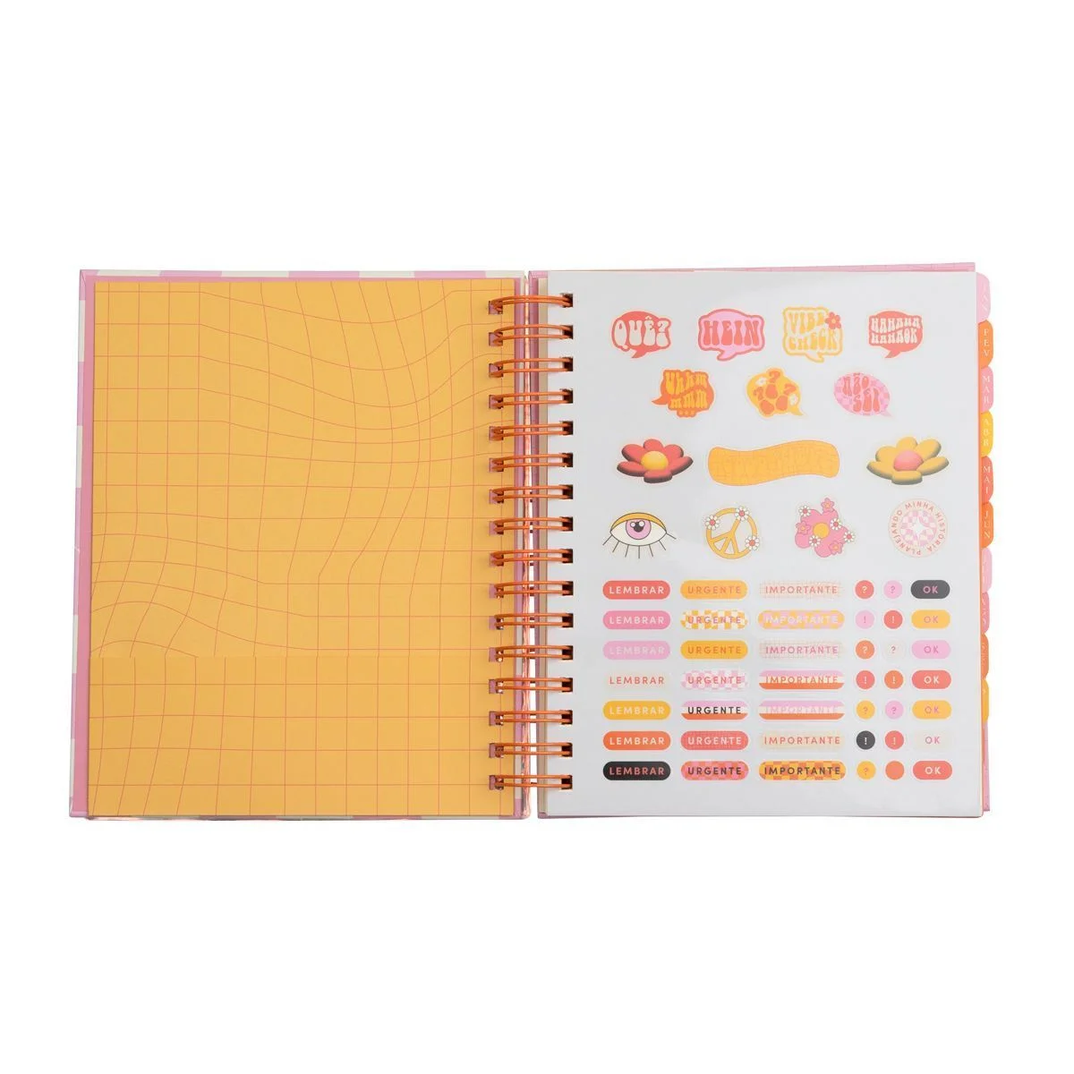 Planner Permanente Meu Ano Multicores 2