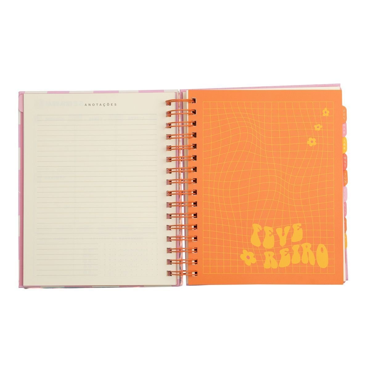 Planner Permanente Meu Ano Multicores 3