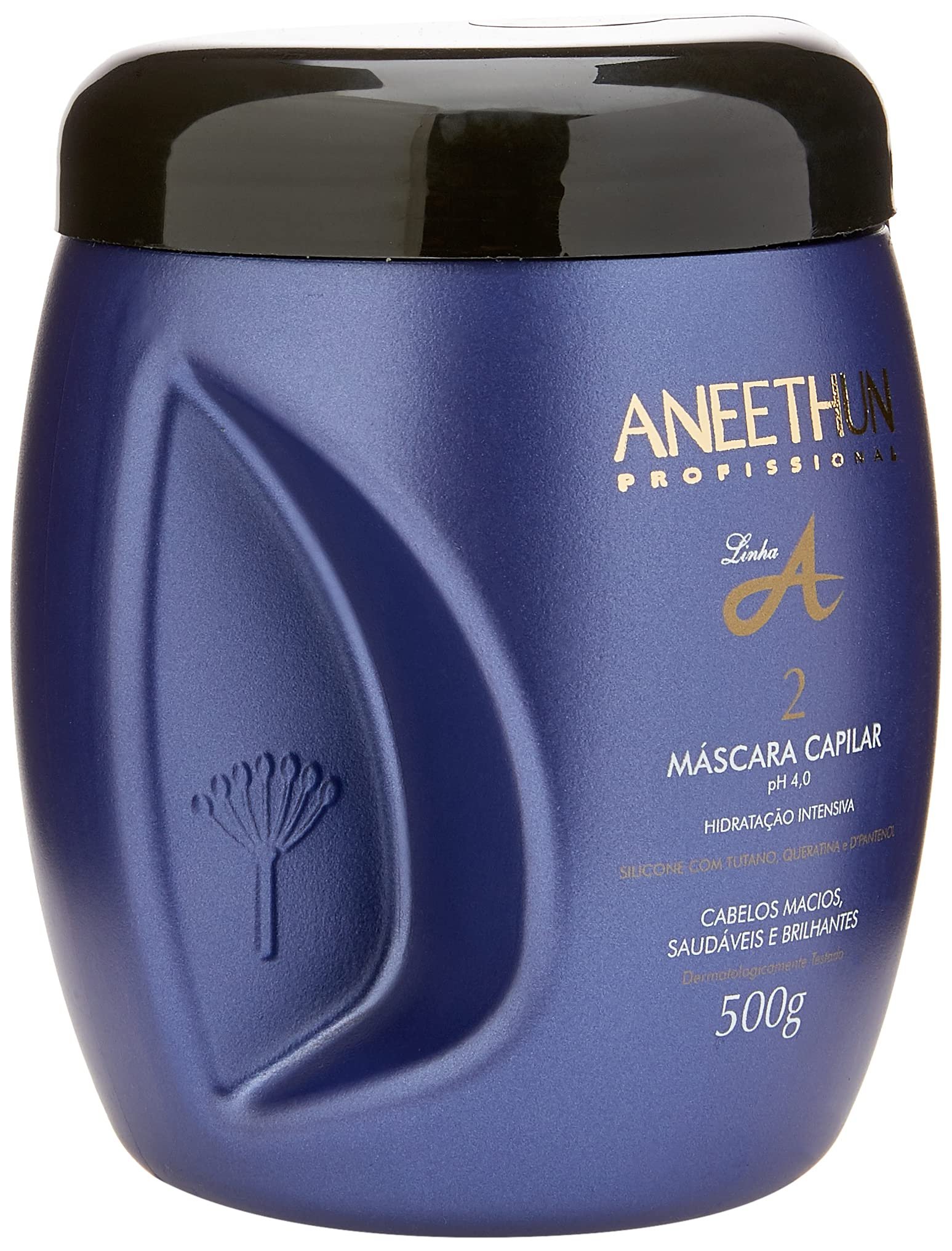Aneethun Mascara Capilar Linha A 500g Home Care 500g
