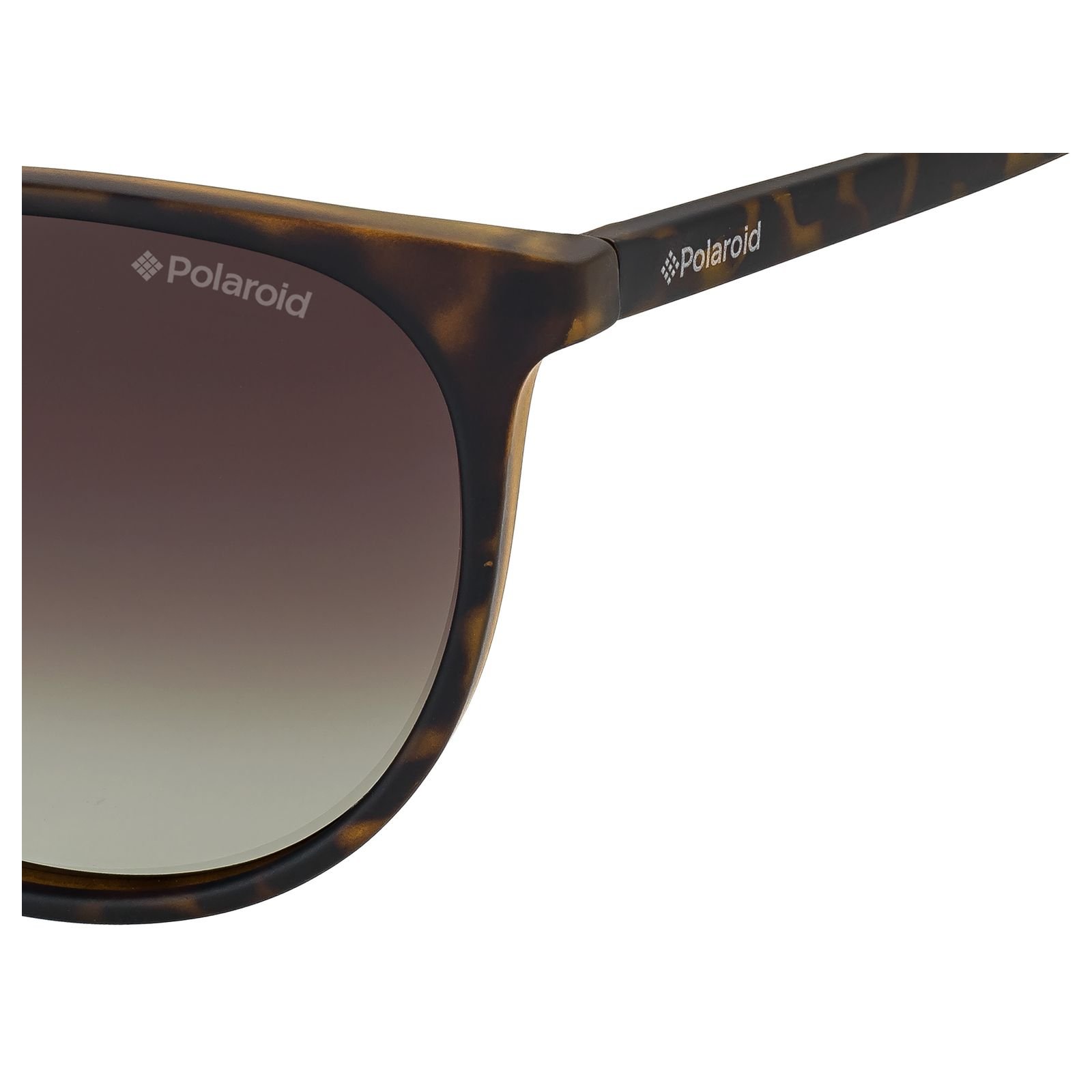 Oculos Solar Polaroid Pld6003/n/s V08la 54 Marrom Fosco Havana Lente Degrade Polarizado Marrom Marrom 3
