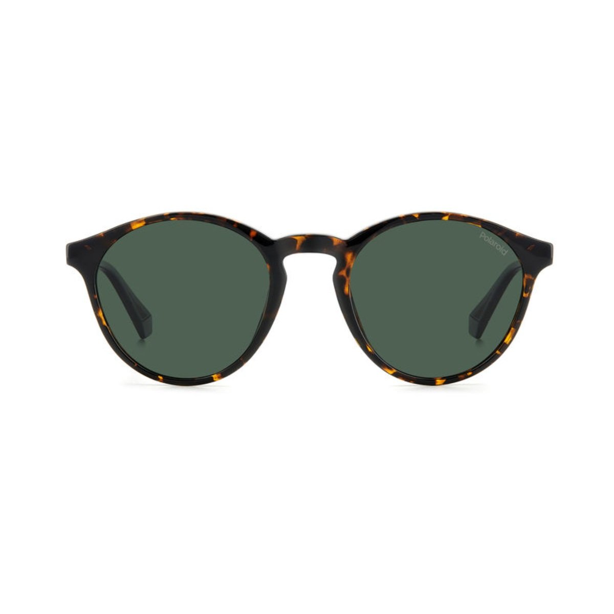 Oculos Solar Polaroid Pld4153/s 086 50 Marrom Brilho Havana Lente Verde Polarizada Marrom 2