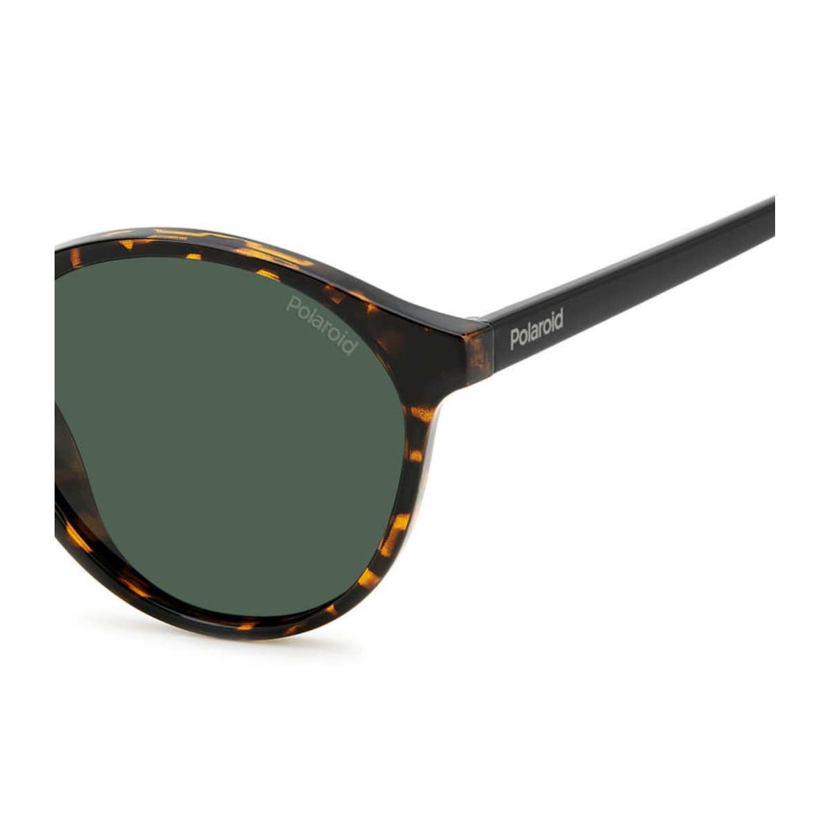 Oculos Solar Polaroid Pld4153/s 086 50 Marrom Brilho Havana Lente Verde Polarizada Marrom 3