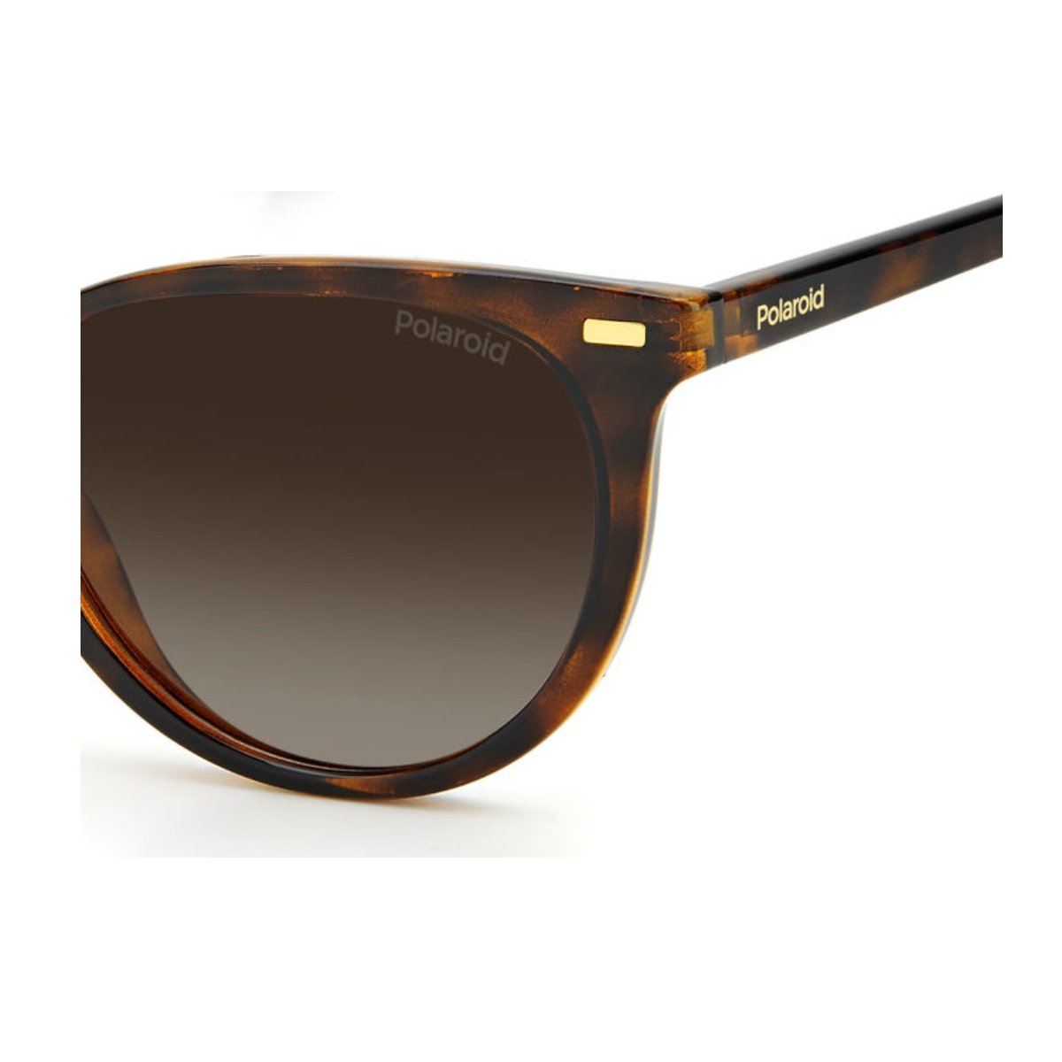 Oculos Solar Polaroid Pld4107/s 086 52 Marrom Brilho Havana Lente Marrom Degrade Polarizada Marrom 3