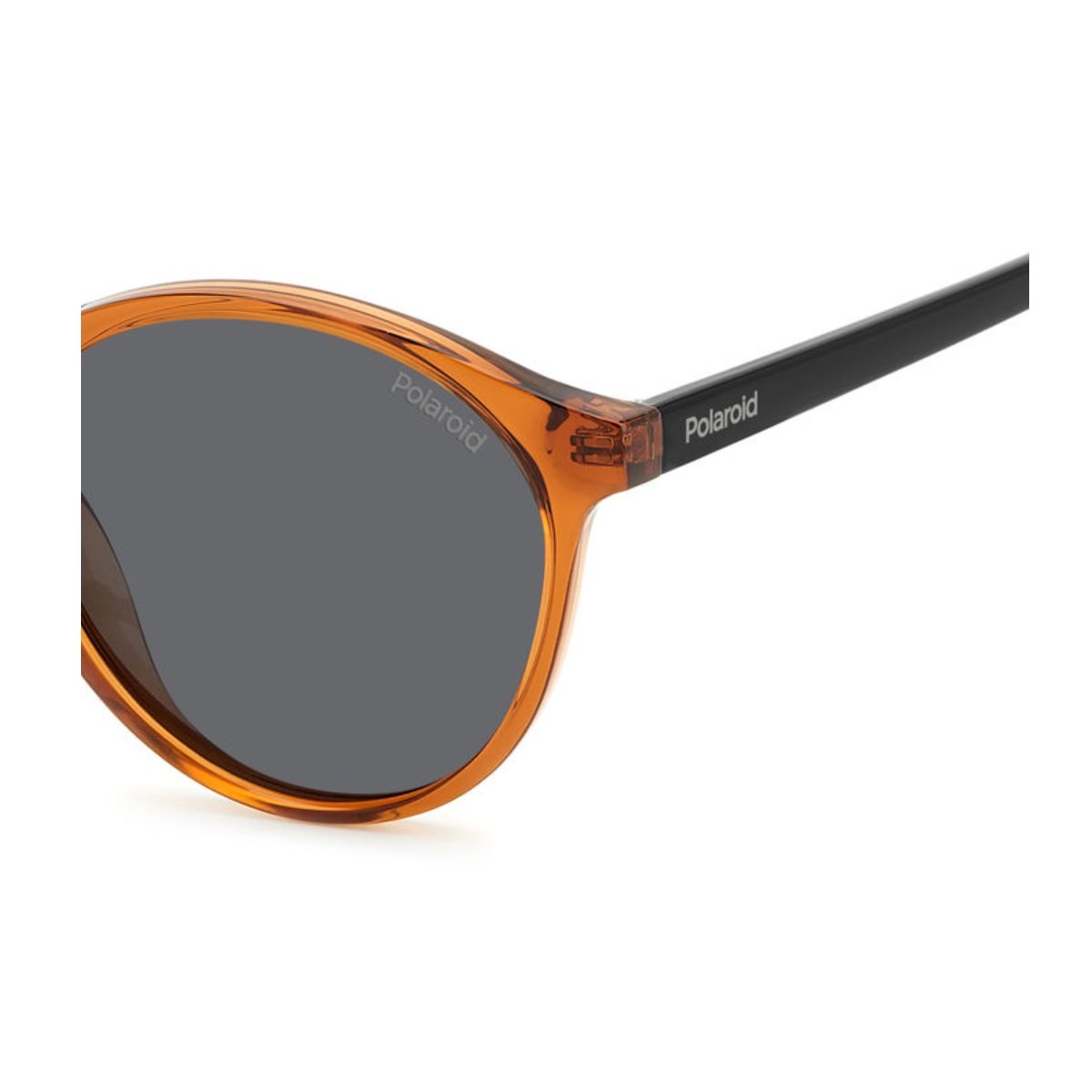 Oculos Solar Polaroid Pld4153/s 09q 50 Marrom Translucido Lente Cinza Polarizada Marrom 4