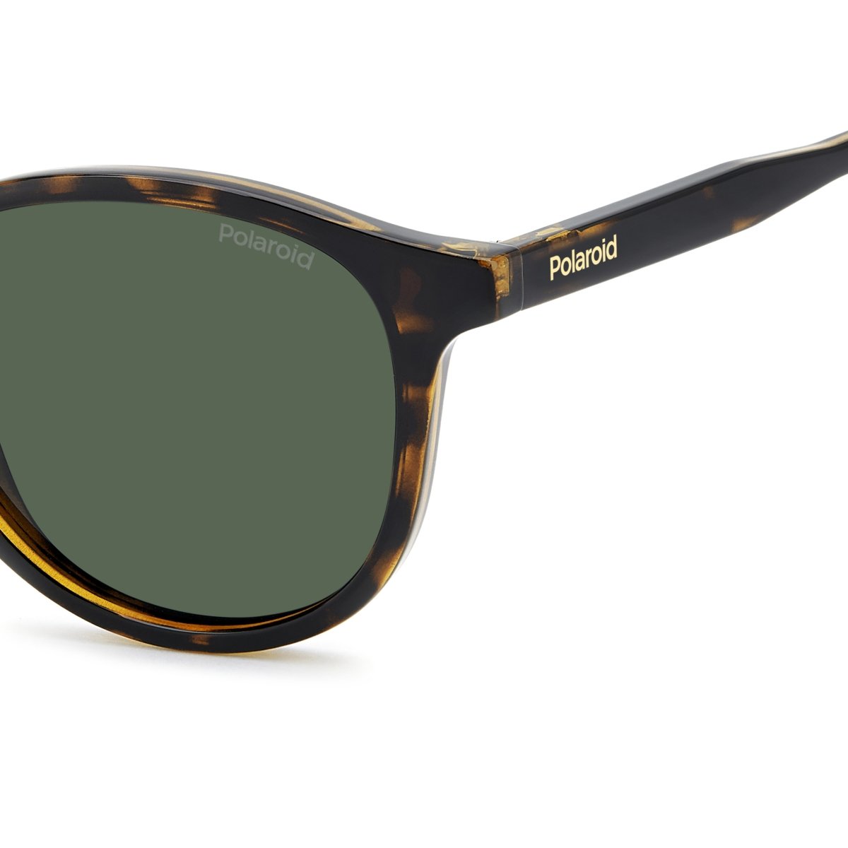 Oculos Solar Polaroid Pld4191/s 086 51 Marrom Brilho Havana Lente Verde Polarizada Marrom 3