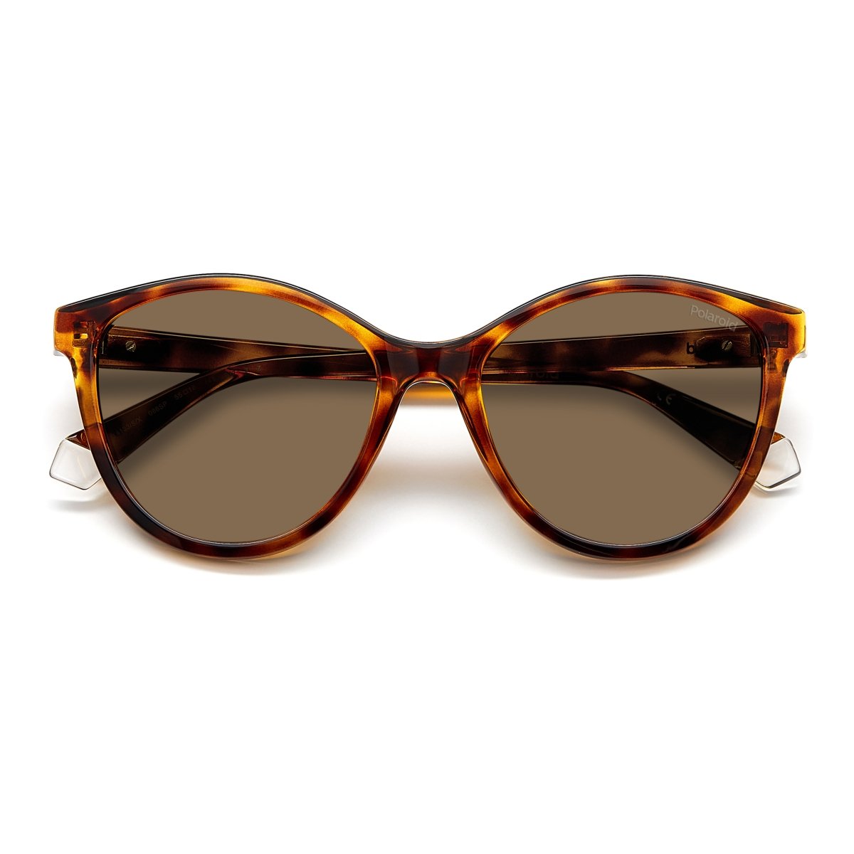 Oculos Solar Polaroid Pld4133/s/x 086 55 Marrom Brilho Havana Lente Marrom Polarizada Marrom 3