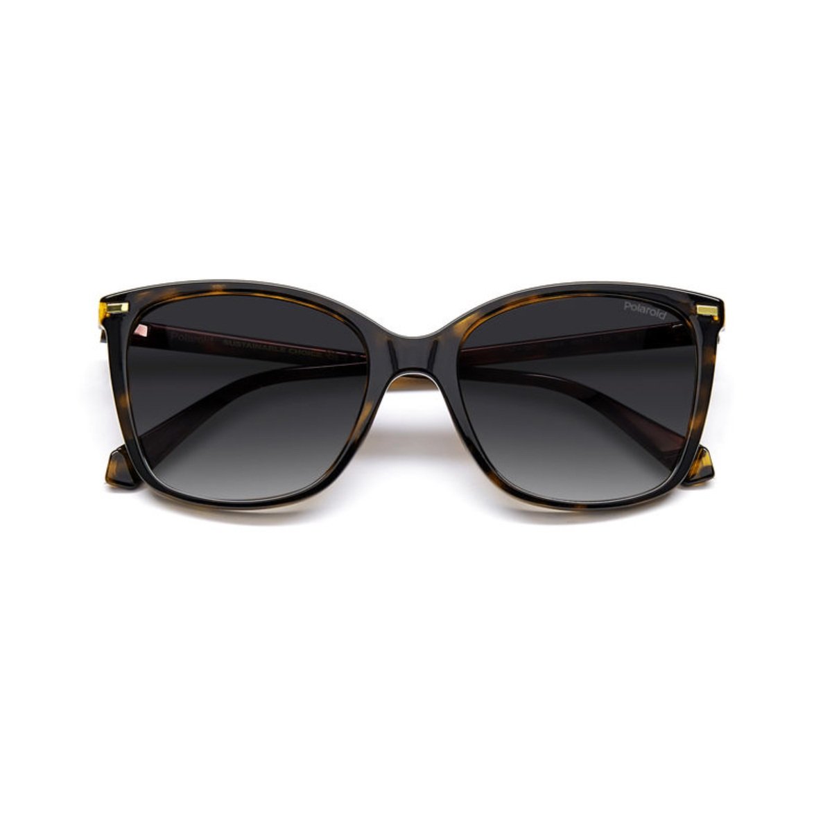 Oculos Solar Polaroid Pld4108/s 086 55 Marrom Brilho Havana Lente Marrom Degrade Polarizada Marrom 3