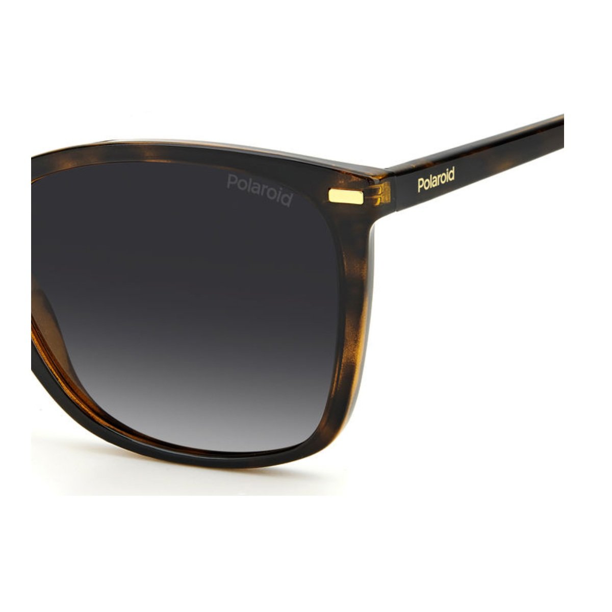 Oculos Solar Polaroid Pld4108/s 086 55 Marrom Brilho Havana Lente Marrom Degrade Polarizada Marrom 4