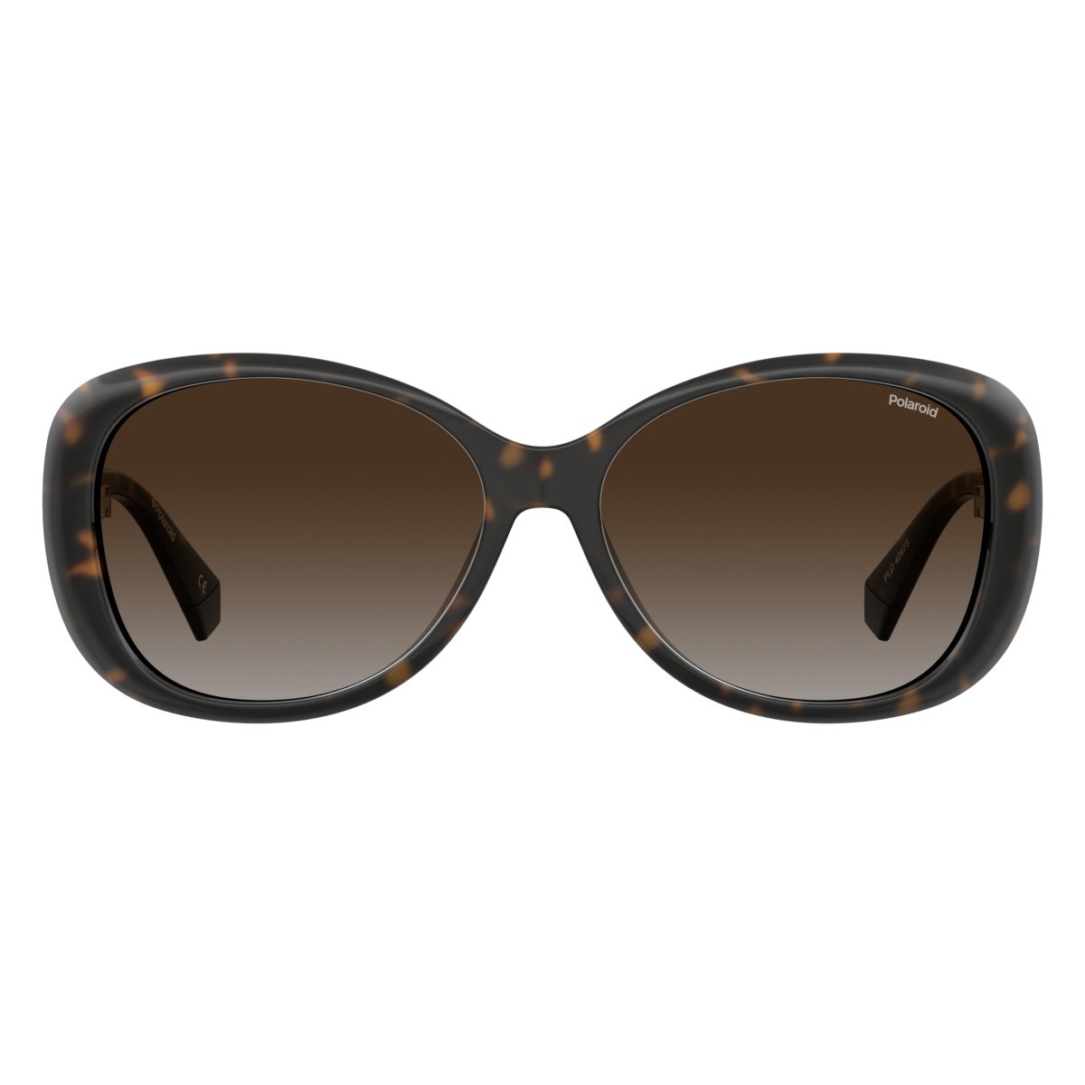Oculos Solar Polaroid Pld4097/s 086 58 Marrom Brilho Havana Lente Marrom Degrade Polarizada Marrom 2