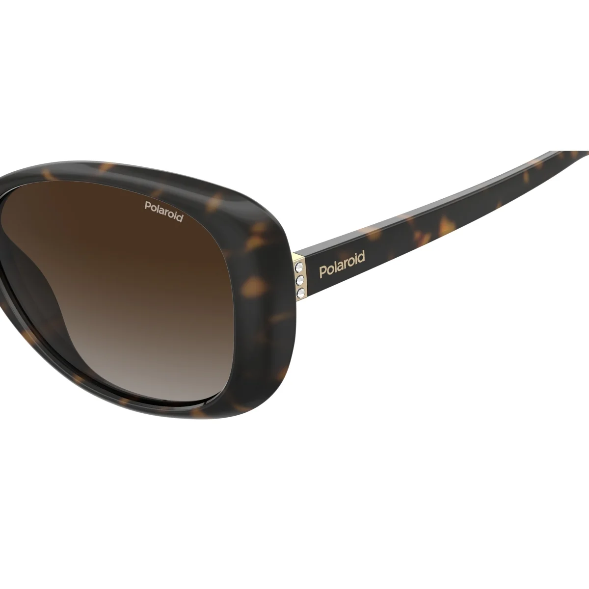 Oculos Solar Polaroid Pld4097/s 086 58 Marrom Brilho Havana Lente Marrom Degrade Polarizada Marrom 3