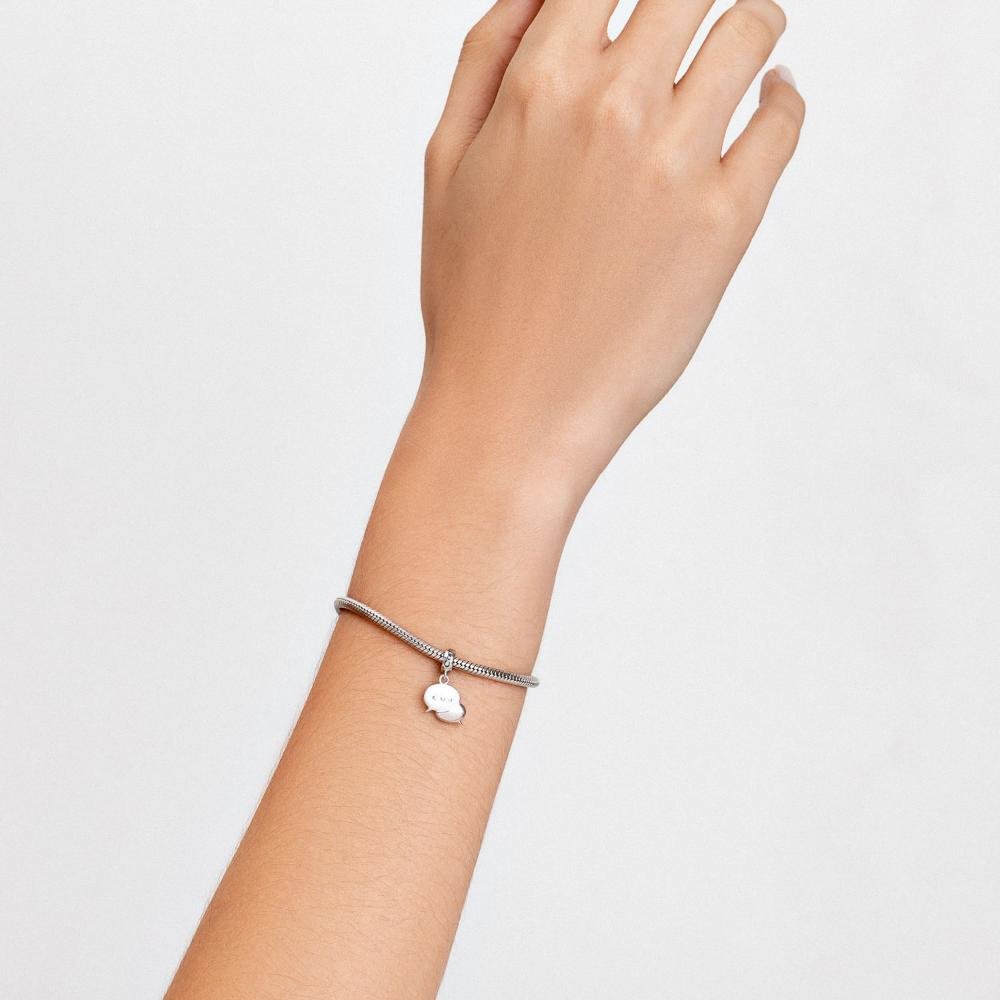 Charm Comunicação em Prata 925 Prata 2