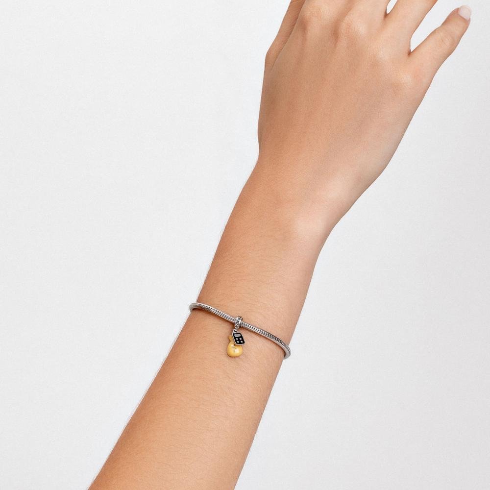 Charm Economia em Prata 925 Prata 2