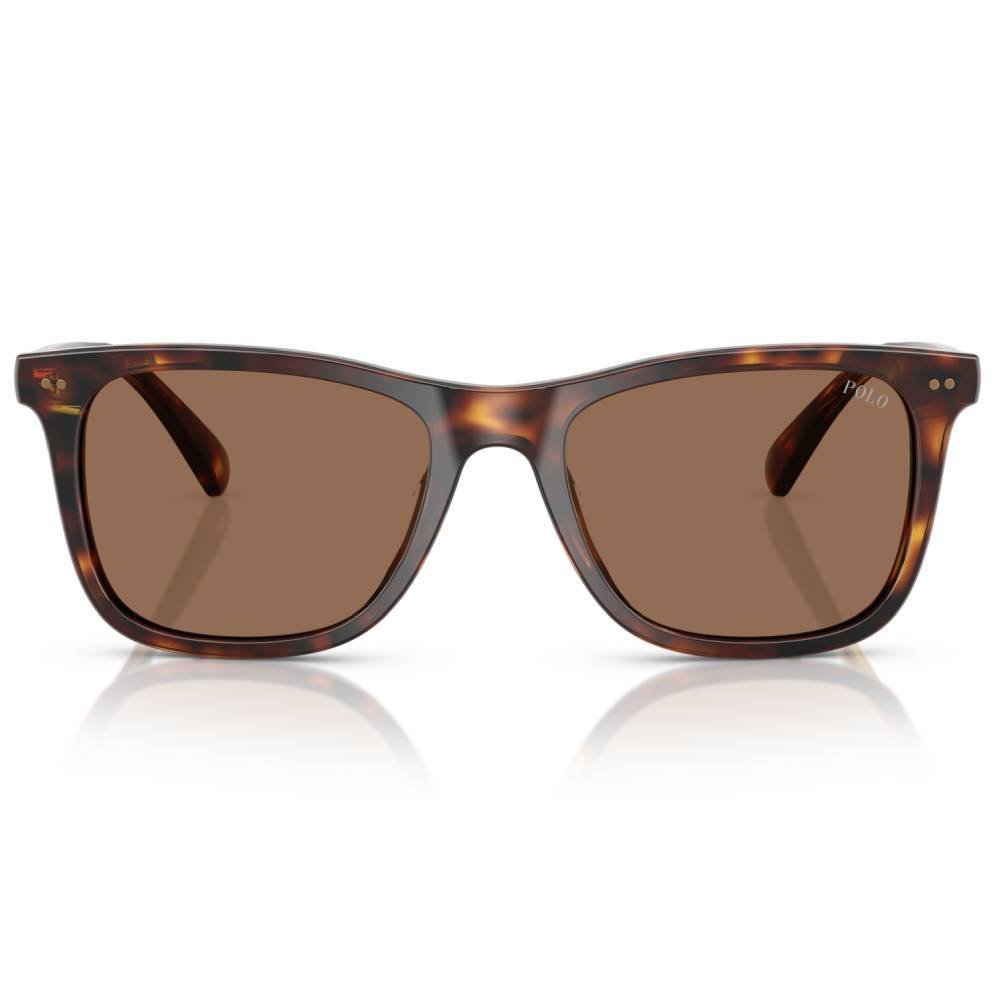 Óculos de Sol Masculino Polo Ralph Lauren PH4220U-613773 55 Marrom 2