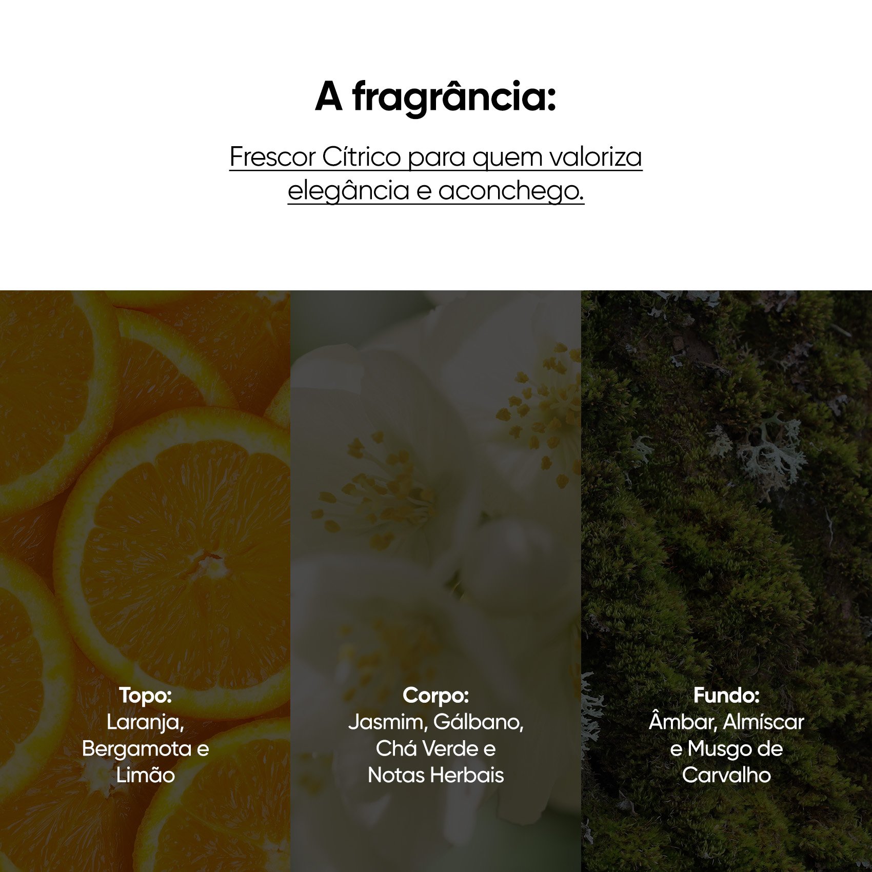 Beyoung Dupla Corporal Hidratante e Sabonete Líquido Breezy Flow Cítrico Aromático ÚNICO 8