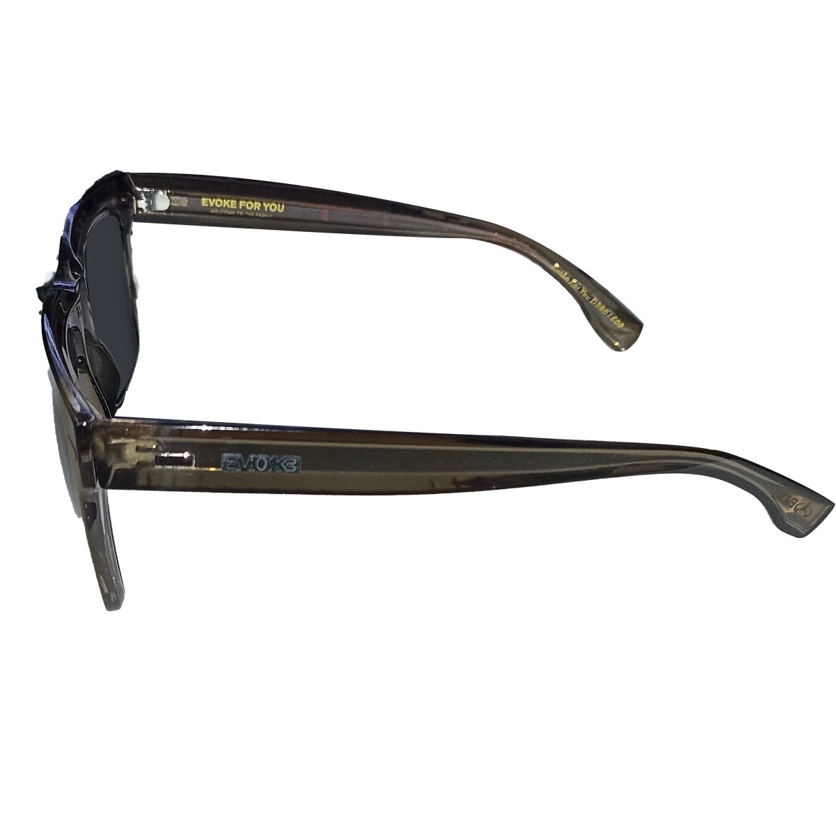 Óculos Evoke For You DS90 E02 Crystal Black/ Lente Gray Preto 4