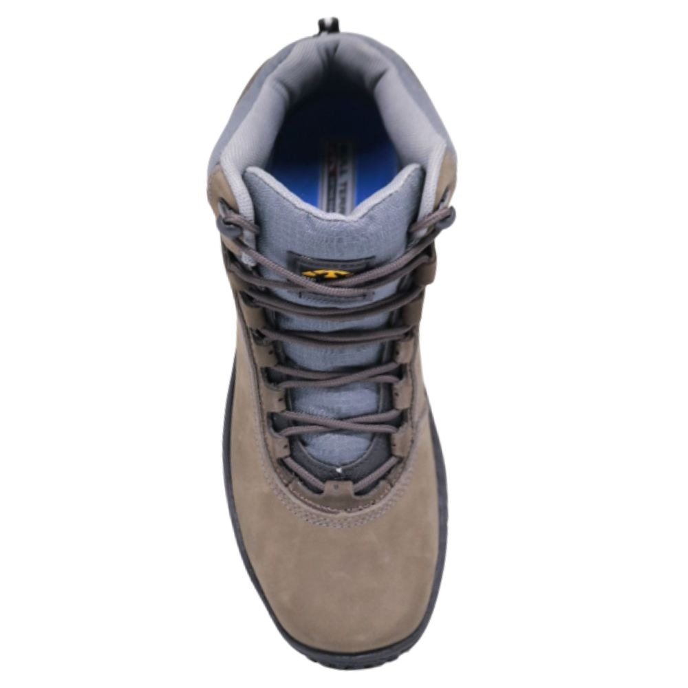 BOTA BULL TERRIER CANADIAN II BURNET / MUSGO Multicores 4