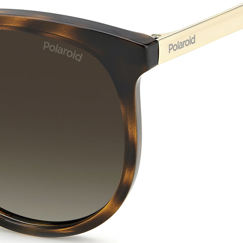 Óculos de Sol Polaroid Pld 4131 /S/X 086 - Marrom 57 Marrom 4