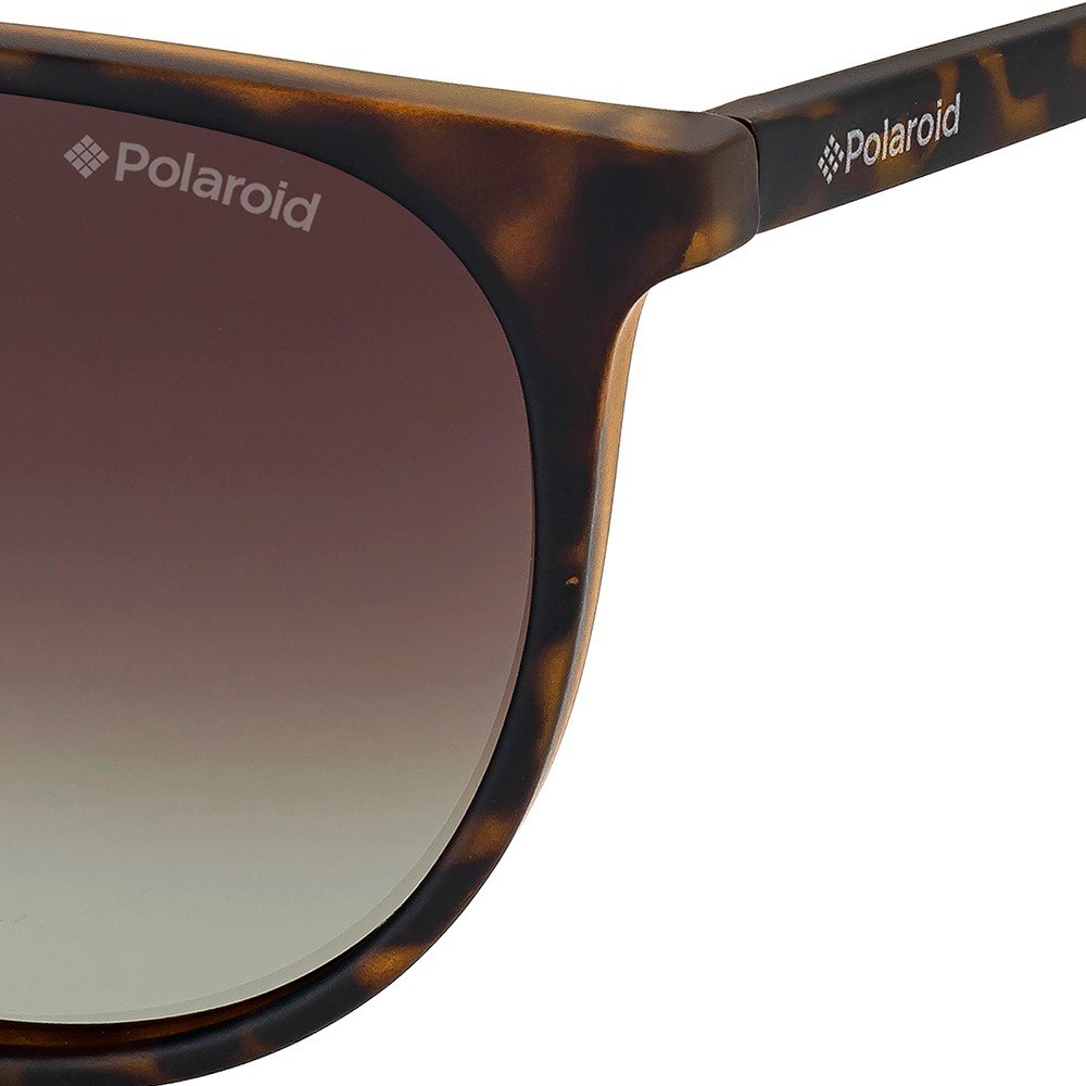 Óculos de Sol Polaroid Pld 6003 /N/S V08 - Marrom 54 Marrom 3