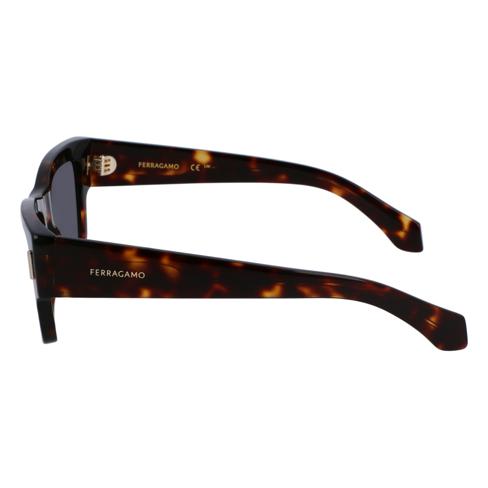 Óculos de Sol Ferragamo SF2011S 242 - Marrom Tortoise 53 Marrom 3