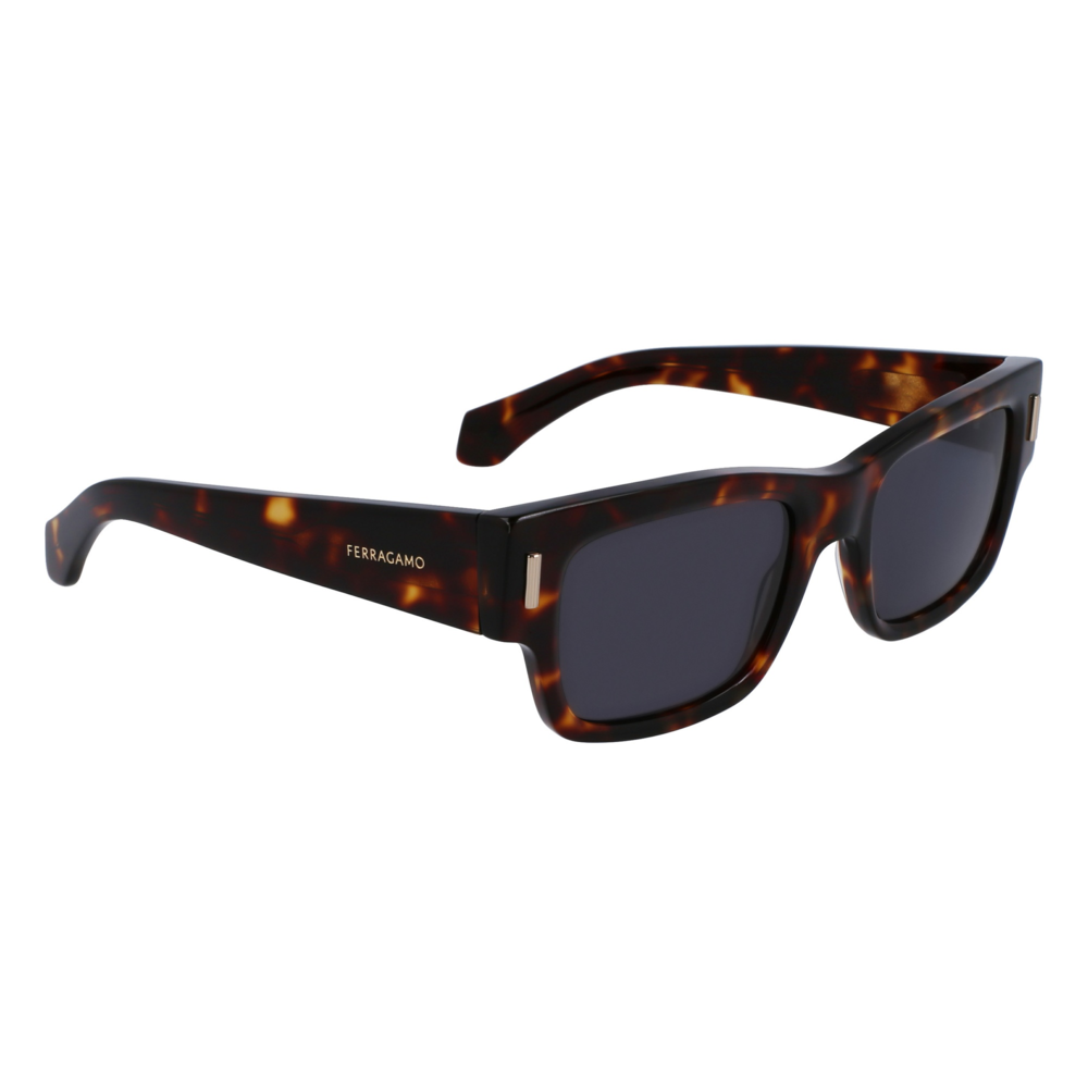 Óculos de Sol Ferragamo SF2011S 242 - Marrom Tortoise 53 Marrom 4