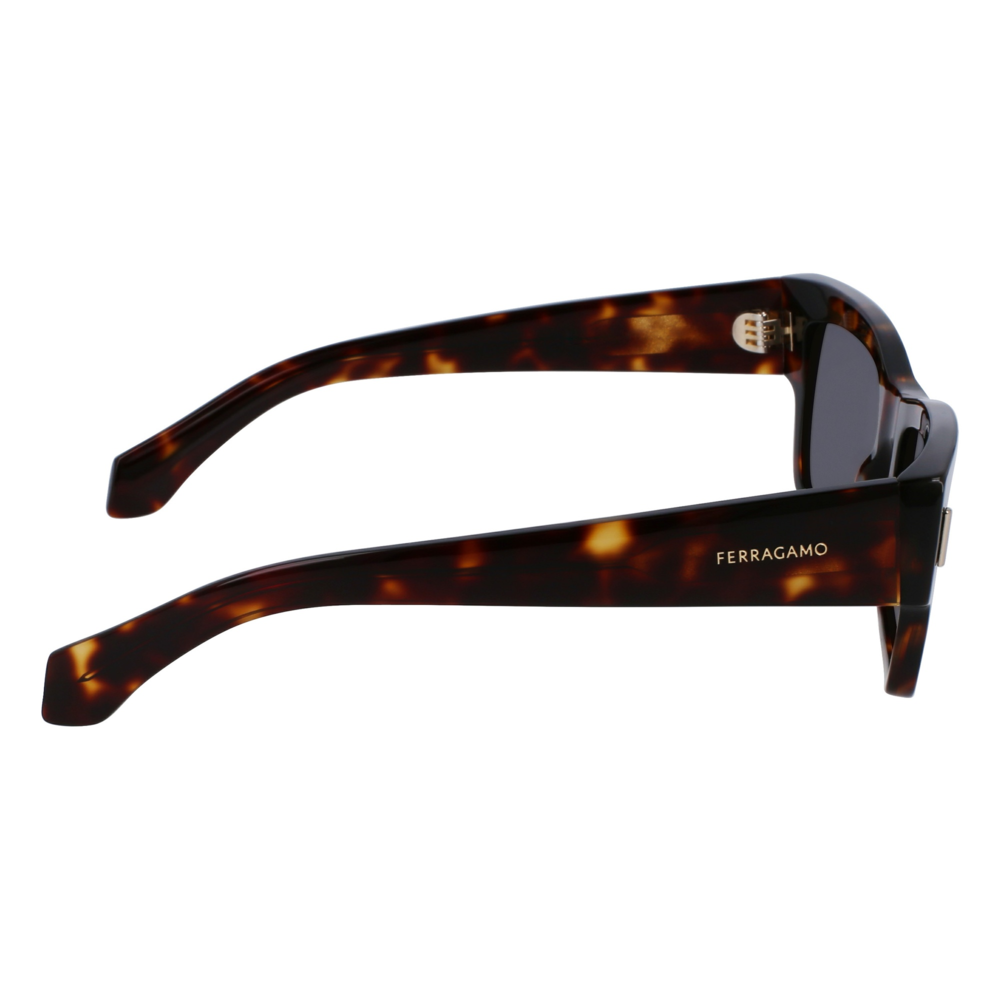 Óculos de Sol Ferragamo SF2011S 242 - Marrom Tortoise 53 Marrom 5