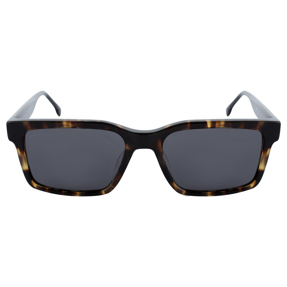 Óculos de Sol GAP SGP801 96NY - Marrom Turtle 52 Marrom 2