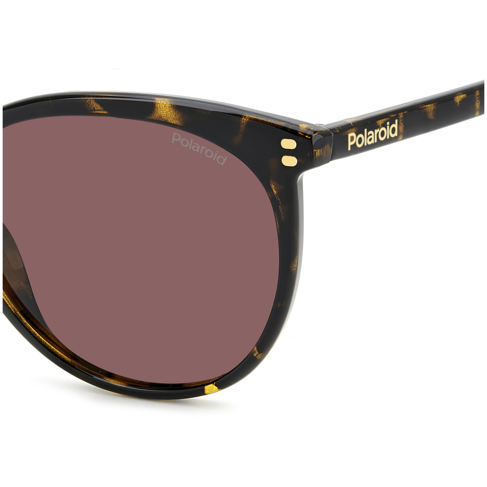 Óculos de Sol Polaroid Pld 6231/S 086 - Marrom Havana 55 Marrom 5