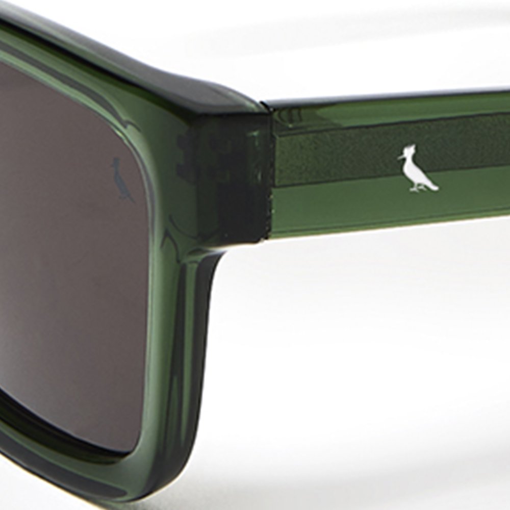 Óculos de Sol Reserva RSV6006S 315 - Verde Cristal 54 Verde 5