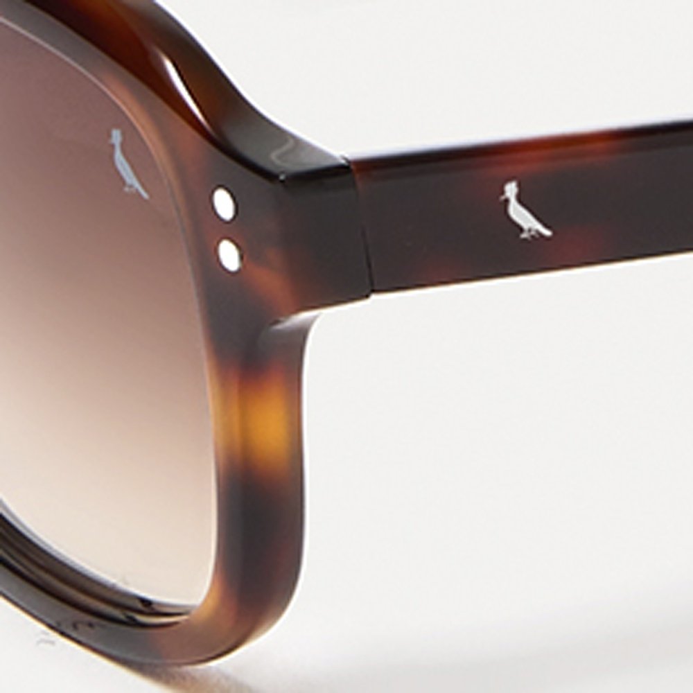 Óculos de Sol Reserva RSV6003S 214 - Marrom Havana 51 Marrom 5