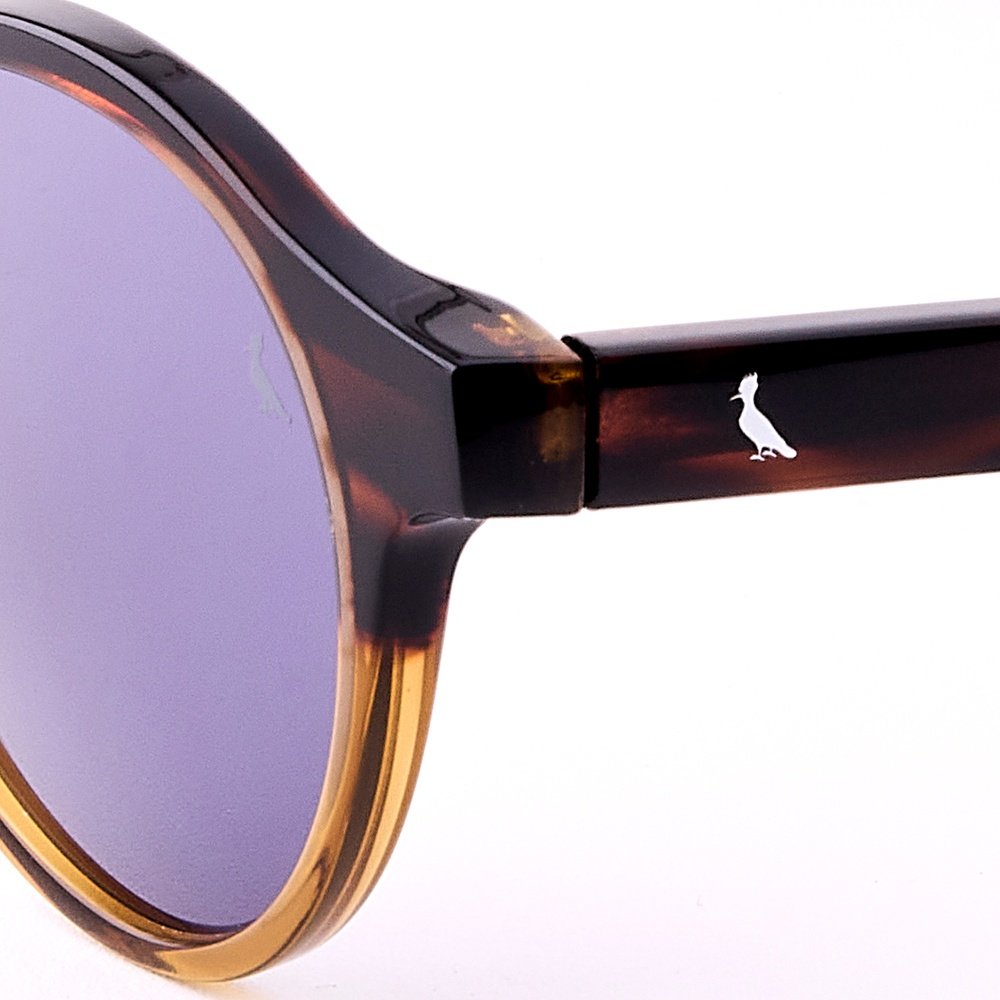 Óculos de Sol Reserva RSV6015S 217 - Marrom Havana 49 Marrom 5