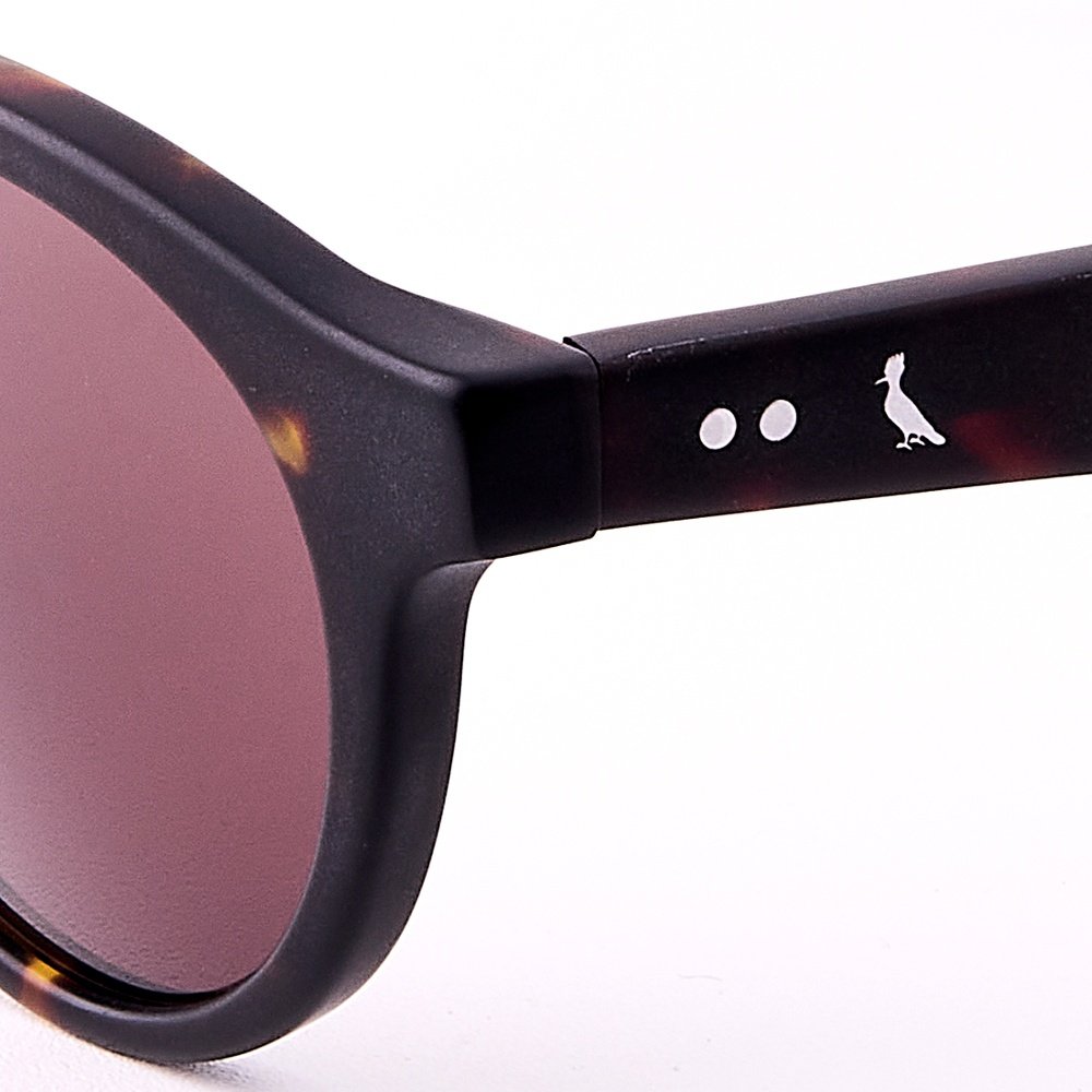 Óculos de Sol Reserva RSV6016S 214 - Marrom Havana 48 Marrom 5