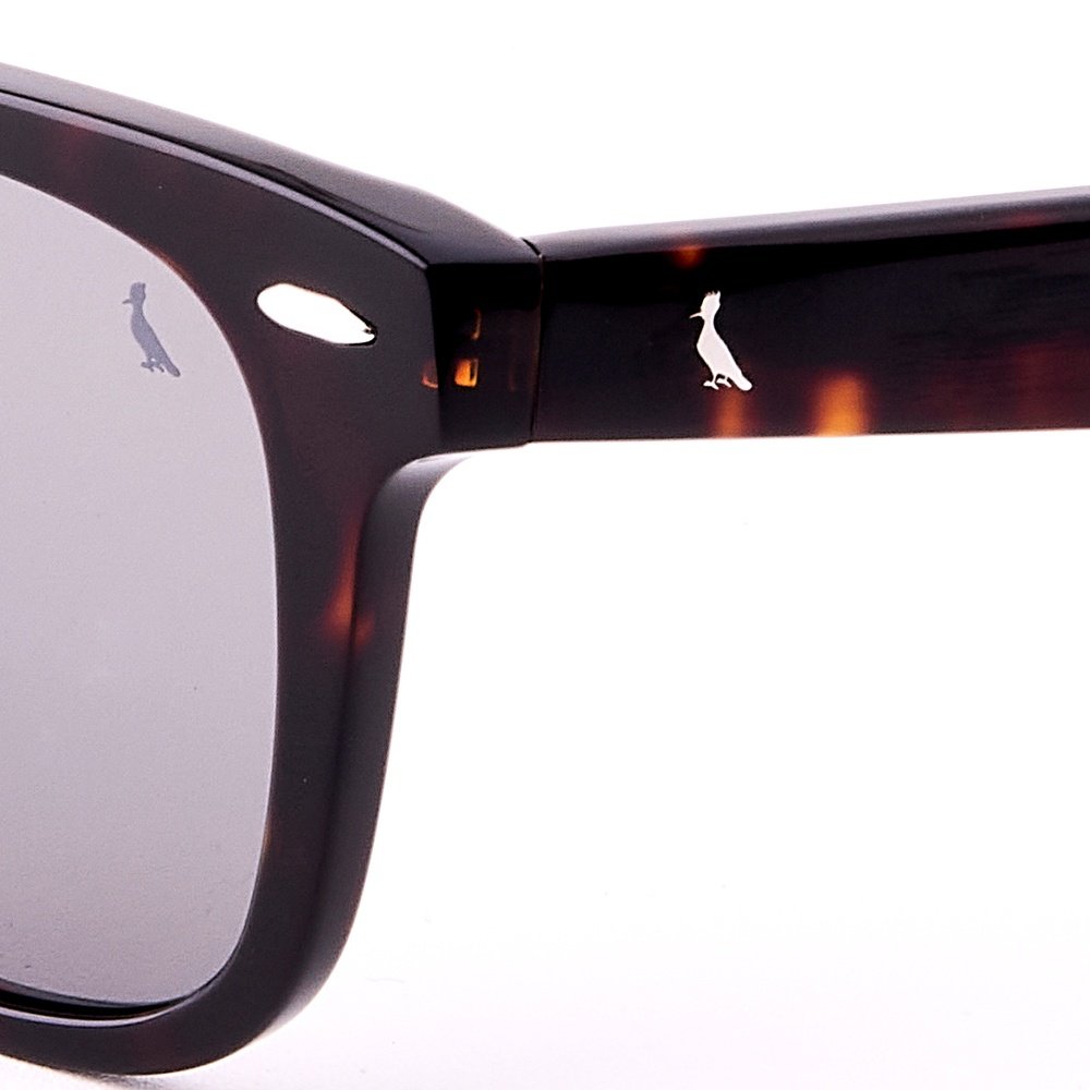 Óculos de Sol Reserva RSV6019S 215 - Marrom Havana 54 Marrom 5