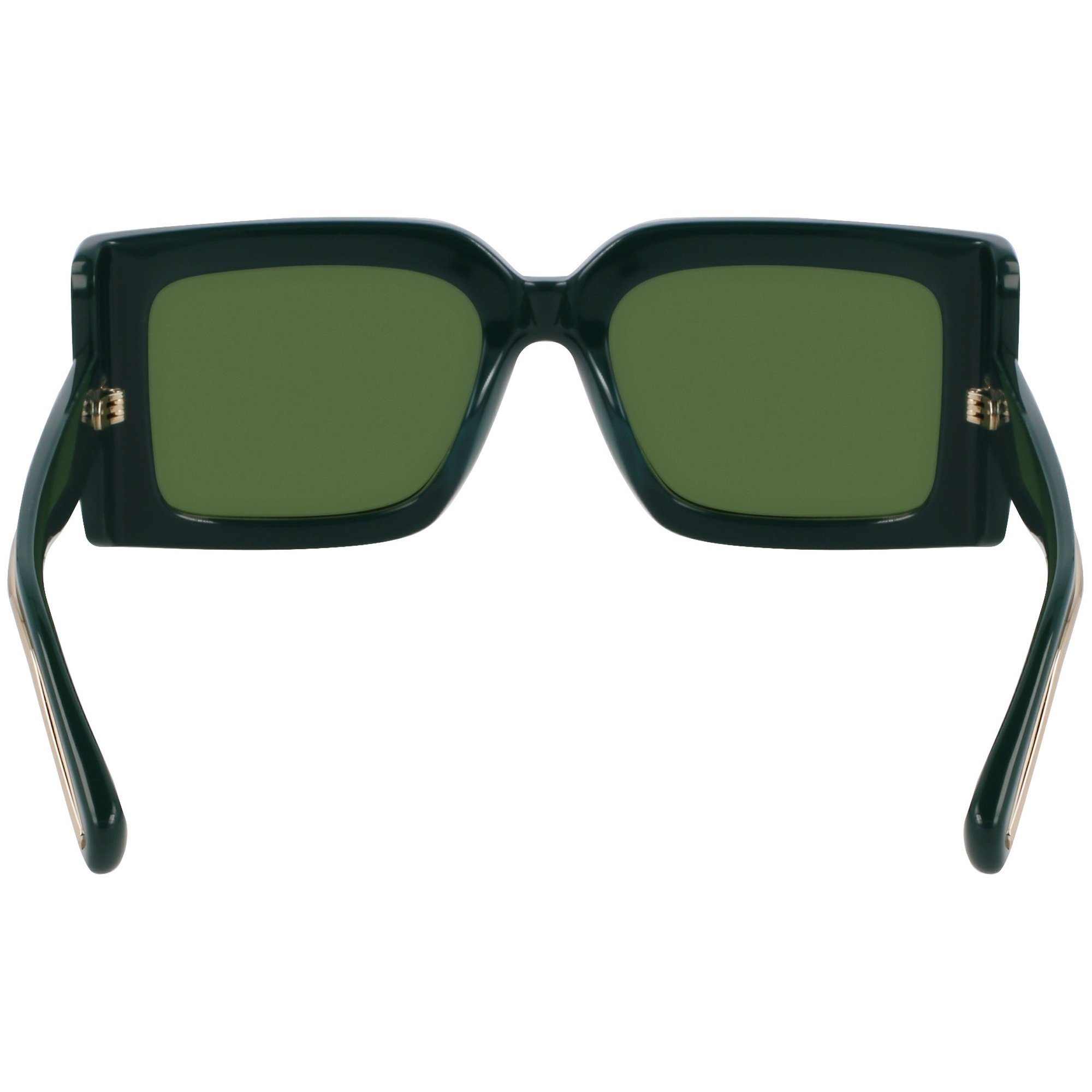 Óculos de Sol Ferragamo SF2032S 302 - Verde 55 Verde 3
