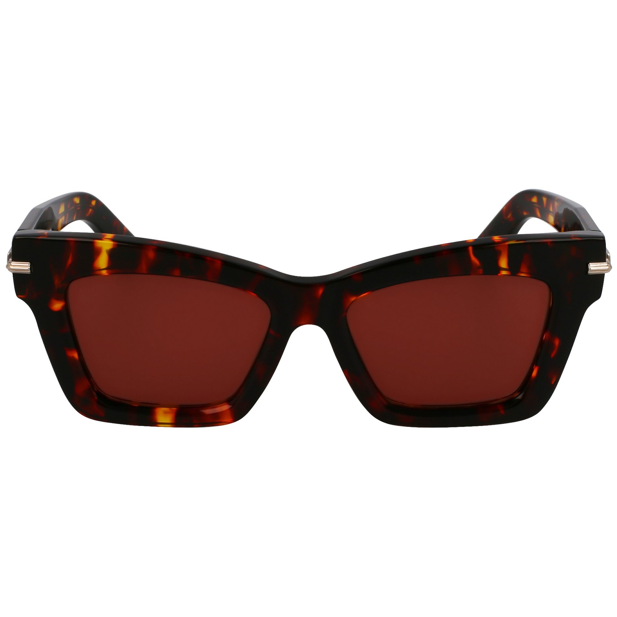 Óculos de Sol Ferragamo SF2031S 242 - Marrom Tortoise 52 Marrom 2