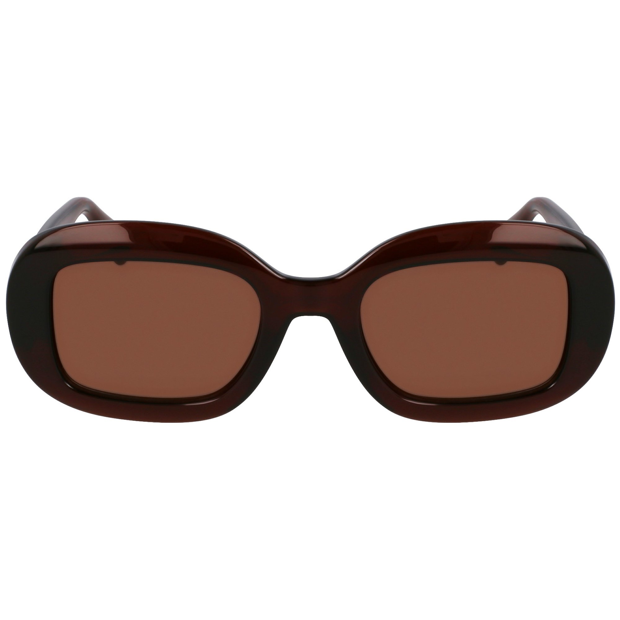 Óculos de Sol Ferragamo SF2038SE 232 - Marrom 51 Marrom 2