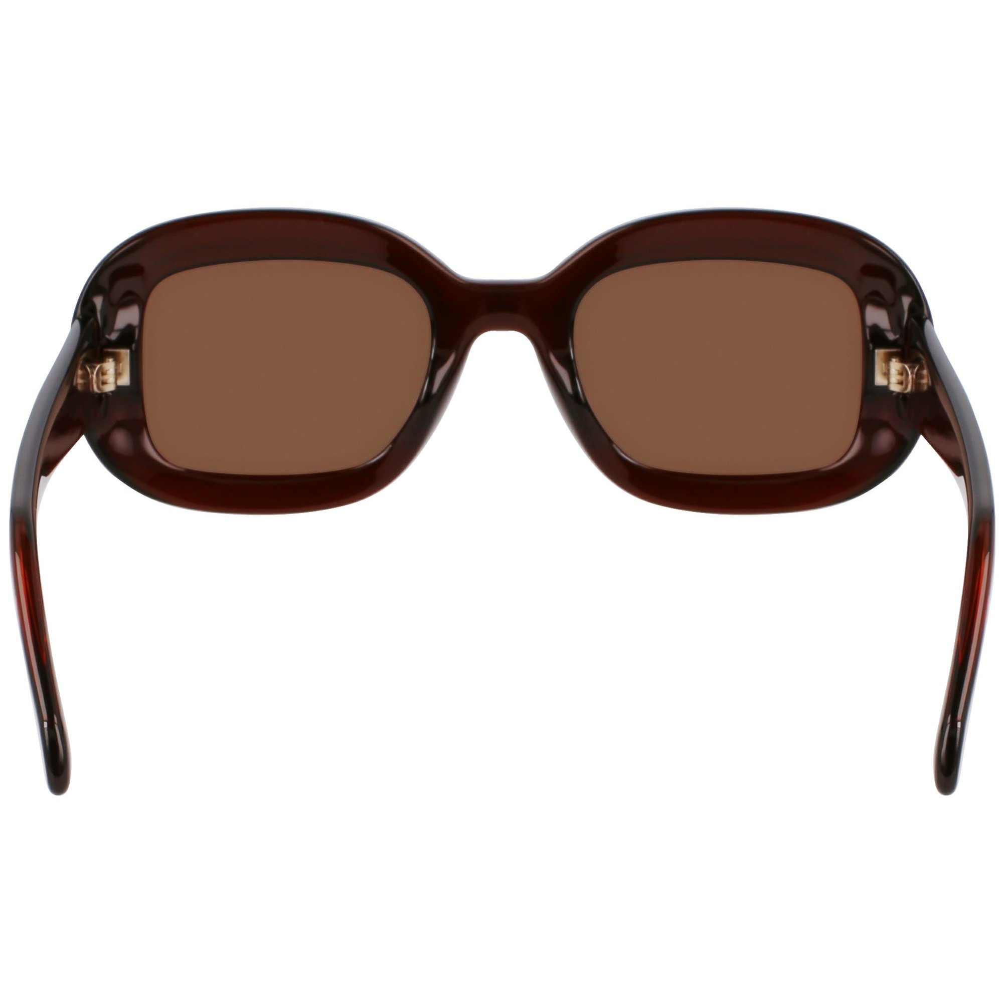 Óculos de Sol Ferragamo SF2038SE 232 - Marrom 51 Marrom 5