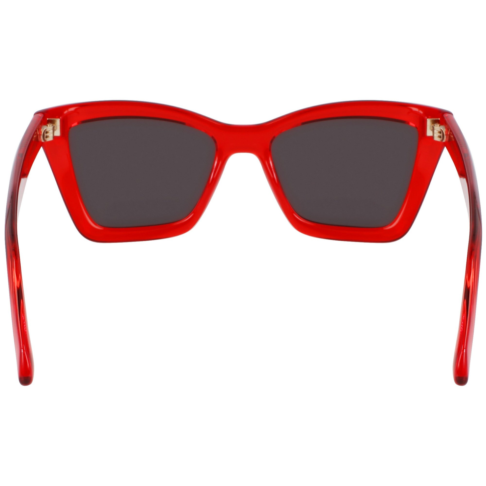 Óculos de Sol Ferragamo SF2039SE 616 - Vermelho Cristal 53 Vermelho 5