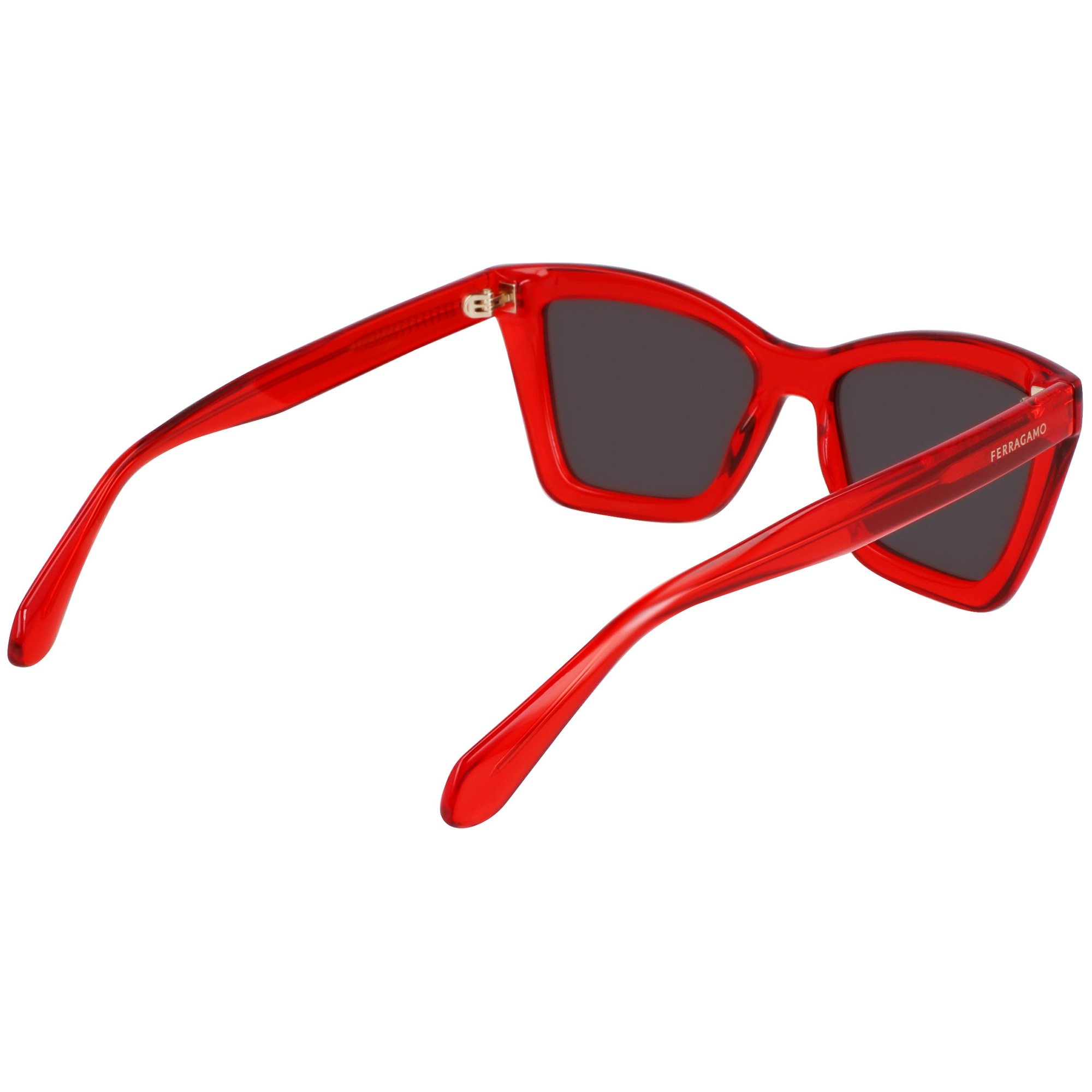 Óculos de Sol Ferragamo SF2039SE 616 - Vermelho Cristal 53 Vermelho 6