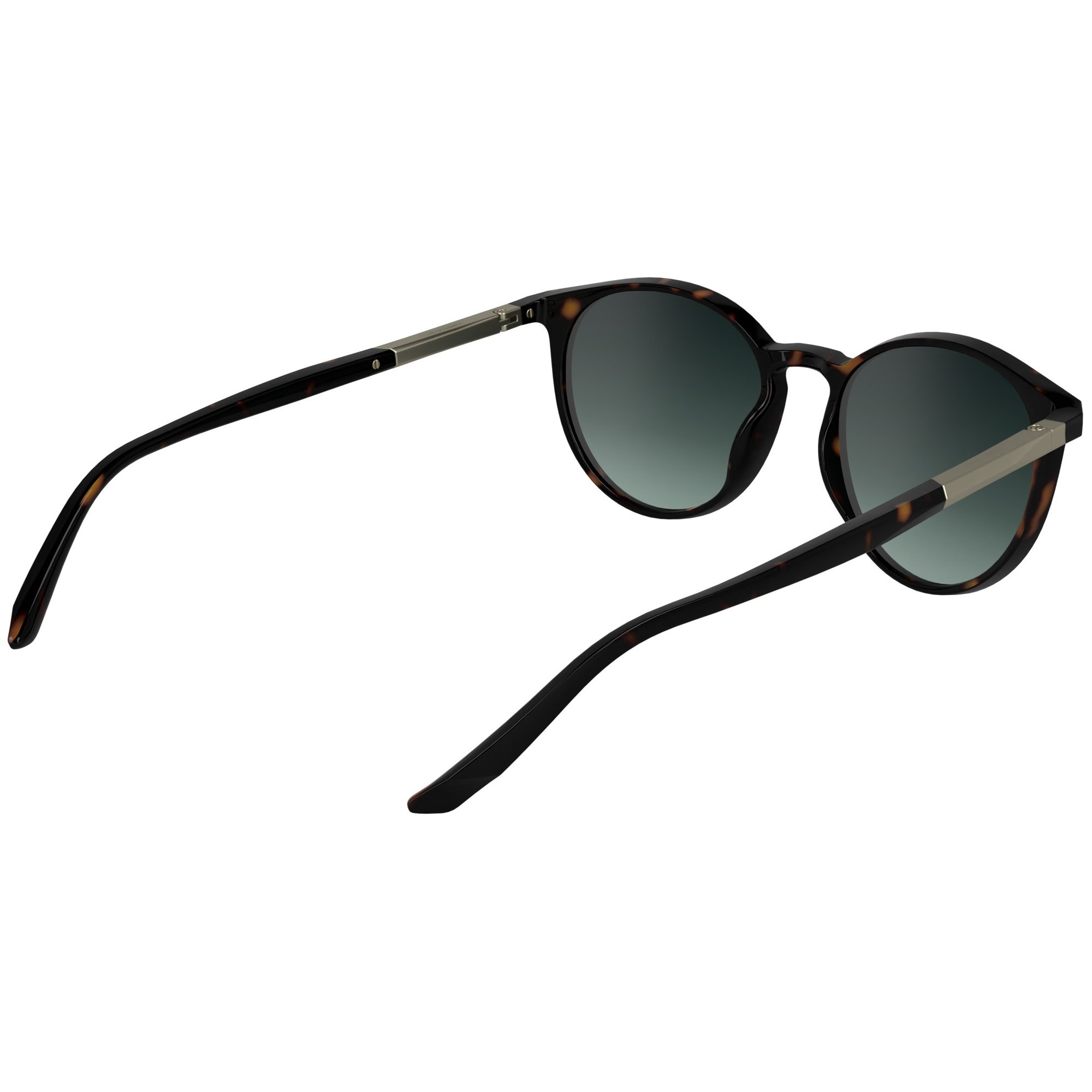 Óculos de Sol Calvin Klein CK24539S 235 - Marrom Havana 53 Marrom 5